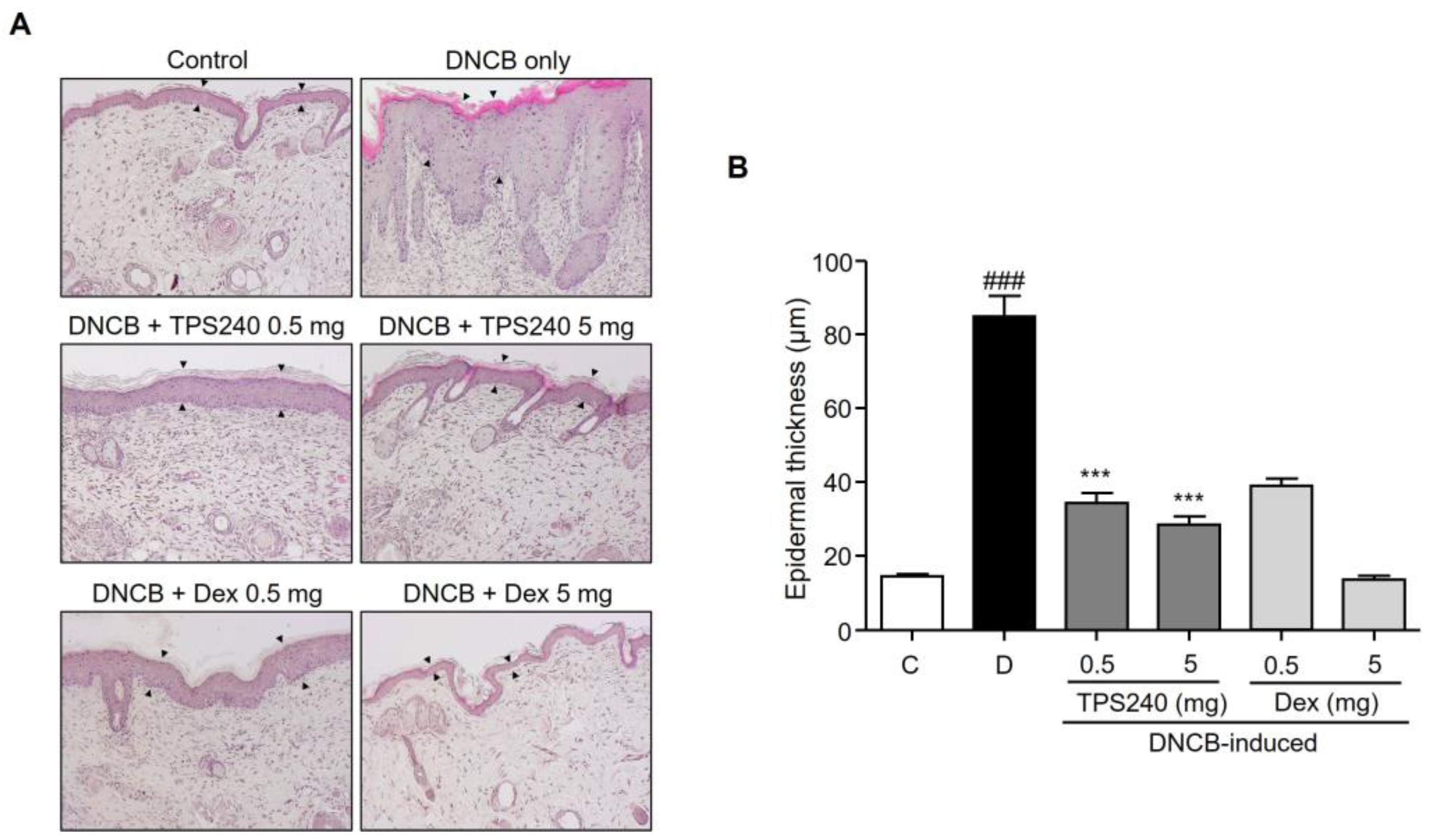 Ijms 24 15814 g003 Ijms 24 15814 g003