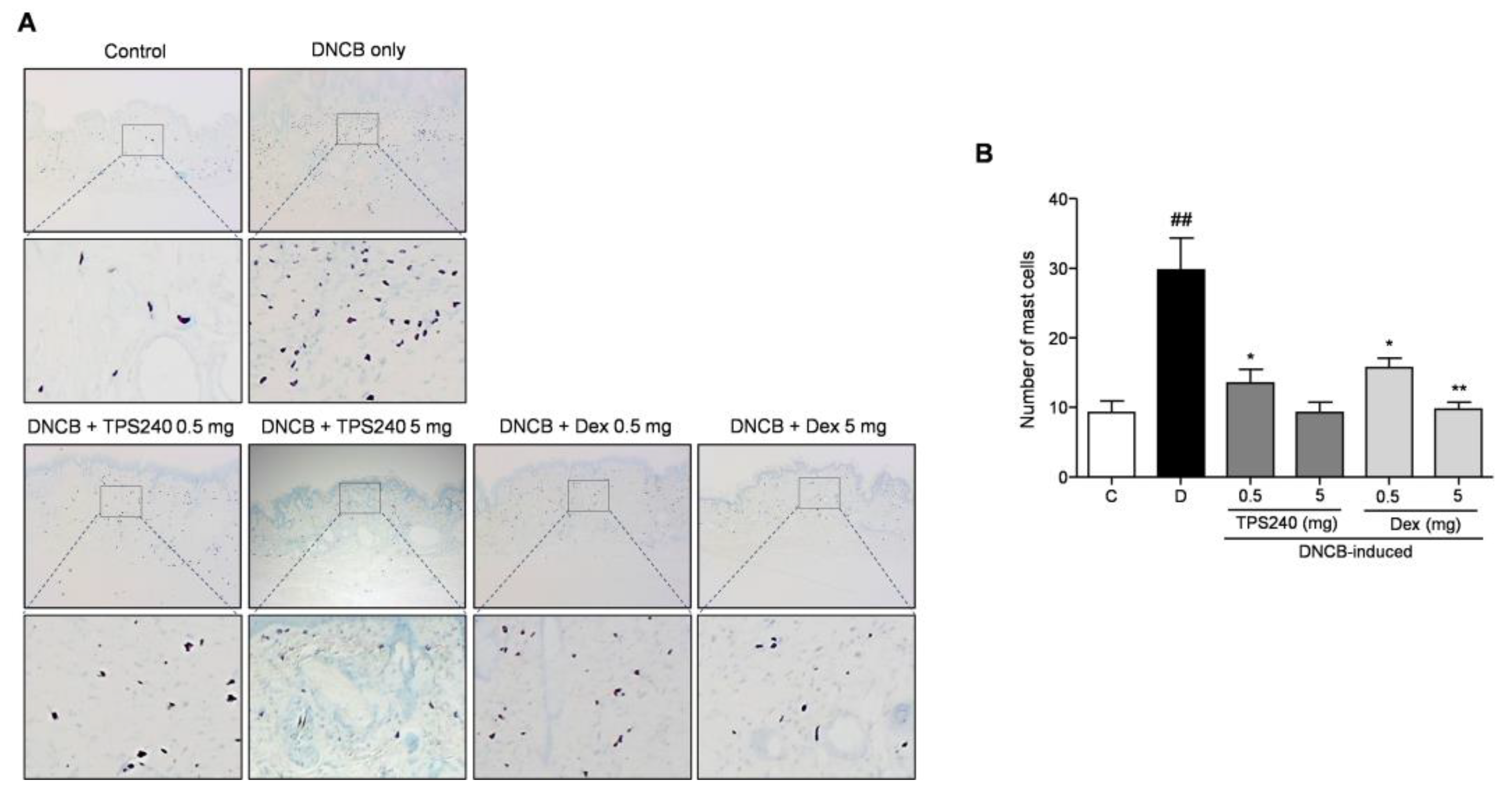 Ijms 24 15814 g004 Ijms 24 15814 g004
