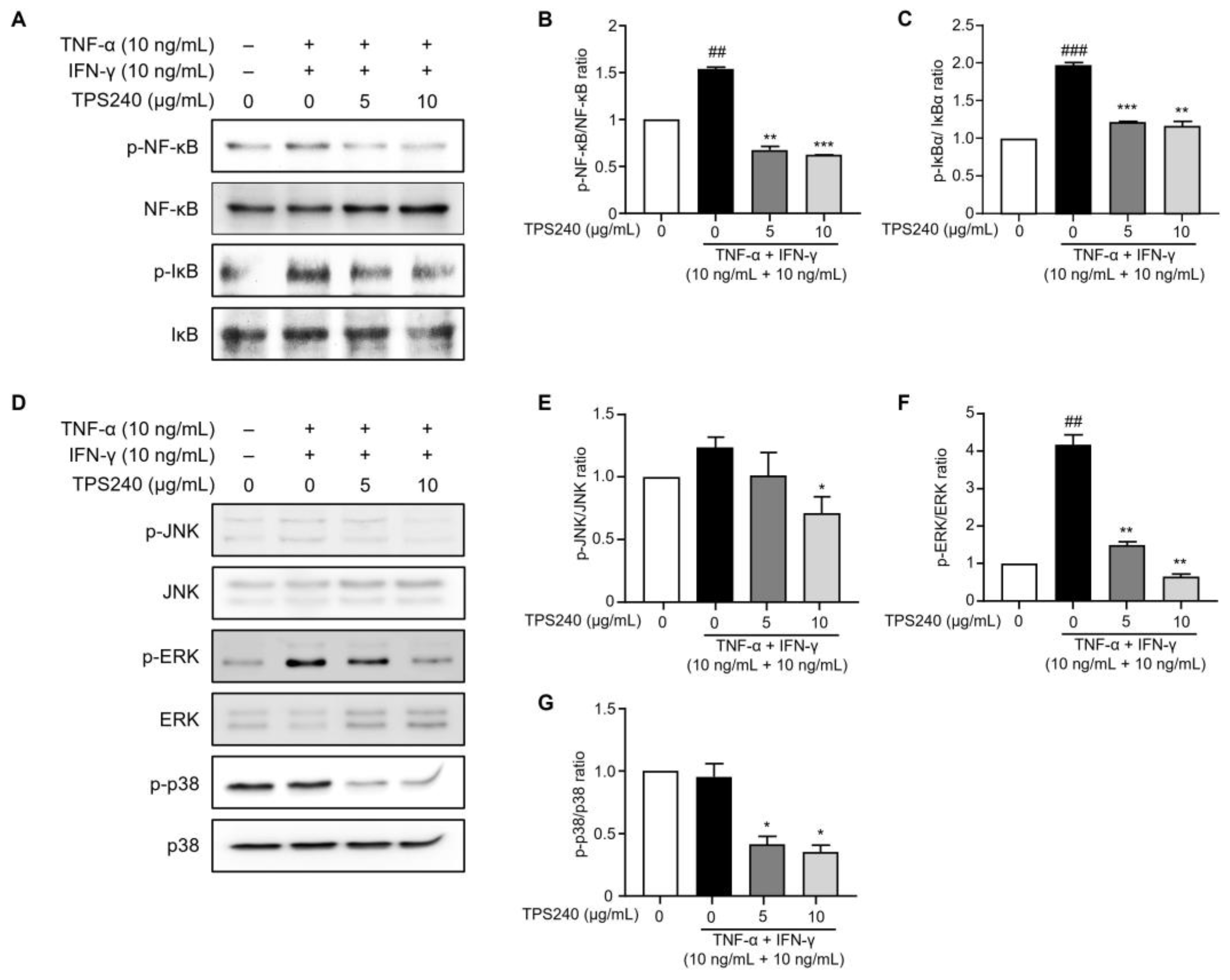 Ijms 24 15814 g006 Ijms 24 15814 g006