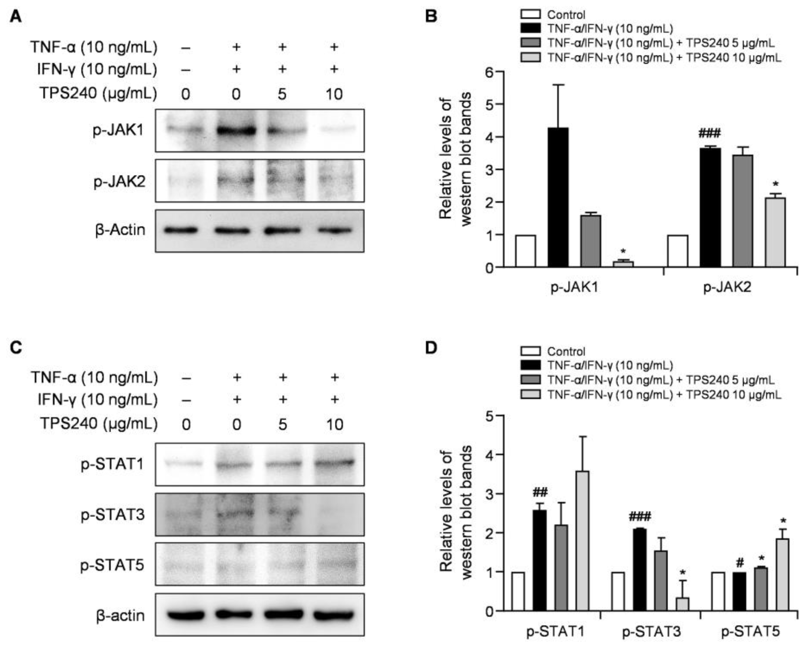 Ijms 24 15814 g007 Ijms 24 15814 g007