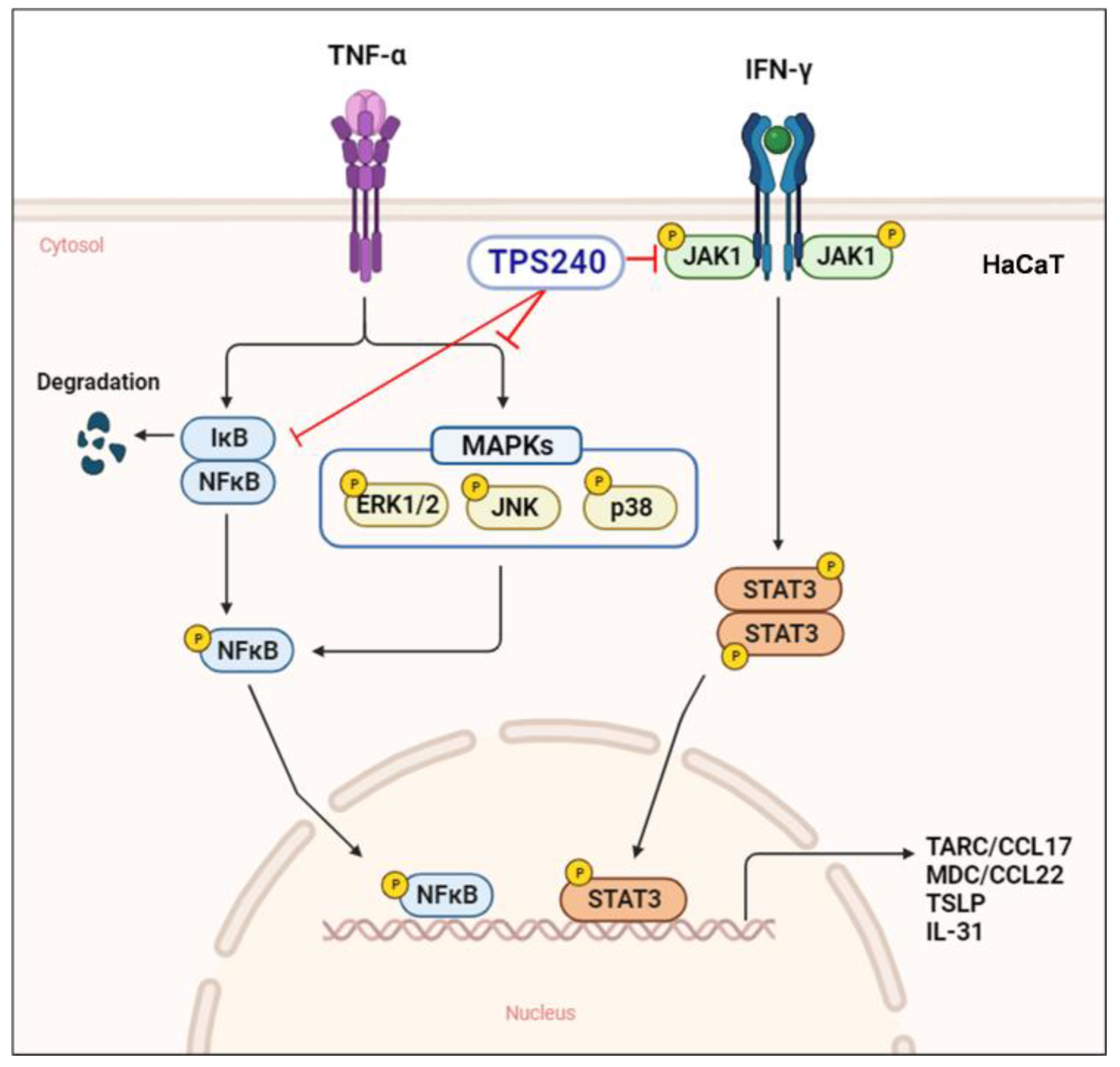 Ijms 24 15814 g008 Ijms 24 15814 g008