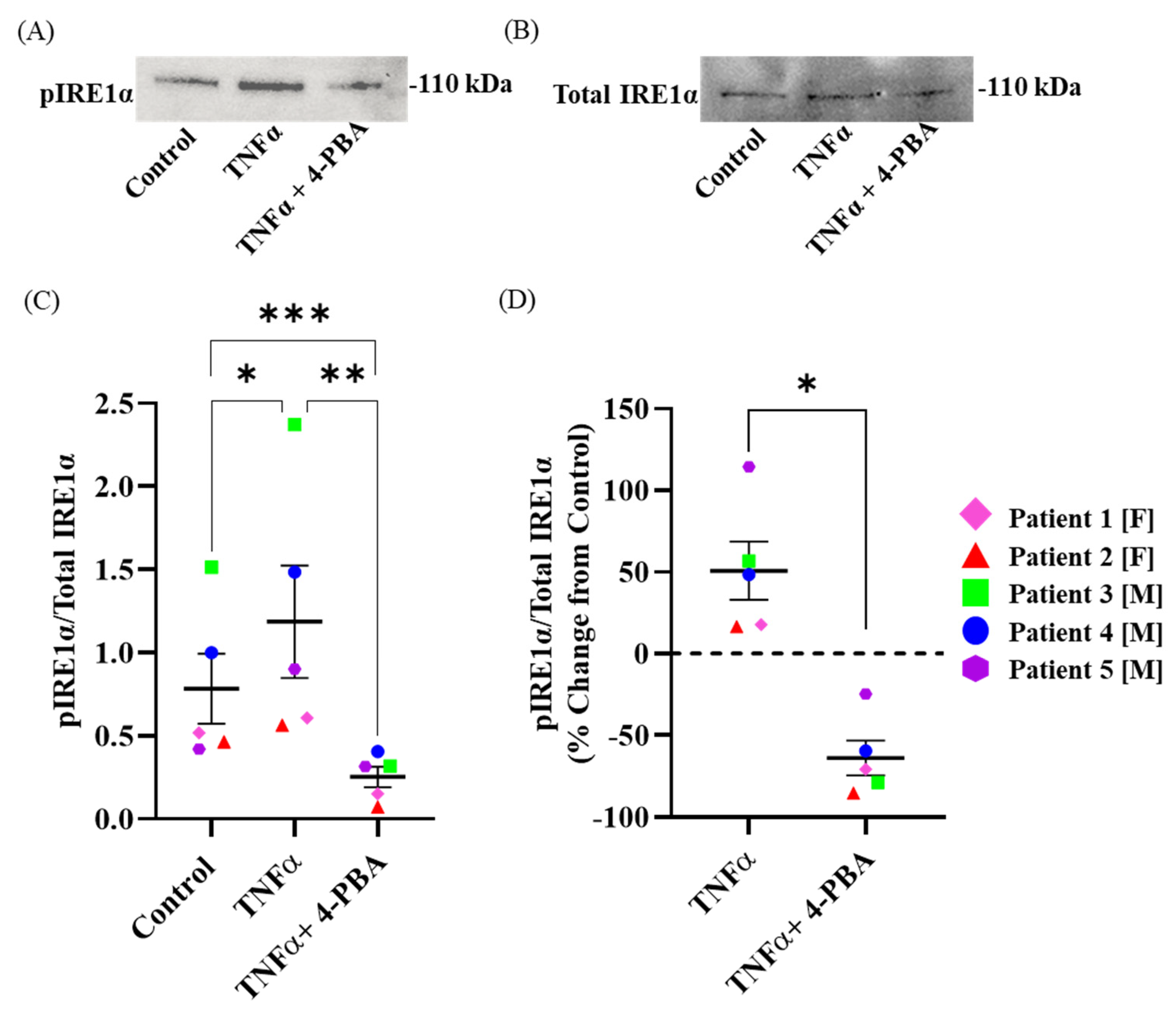 Ijms 24 15816 g002 Ijms 24 15816 g002