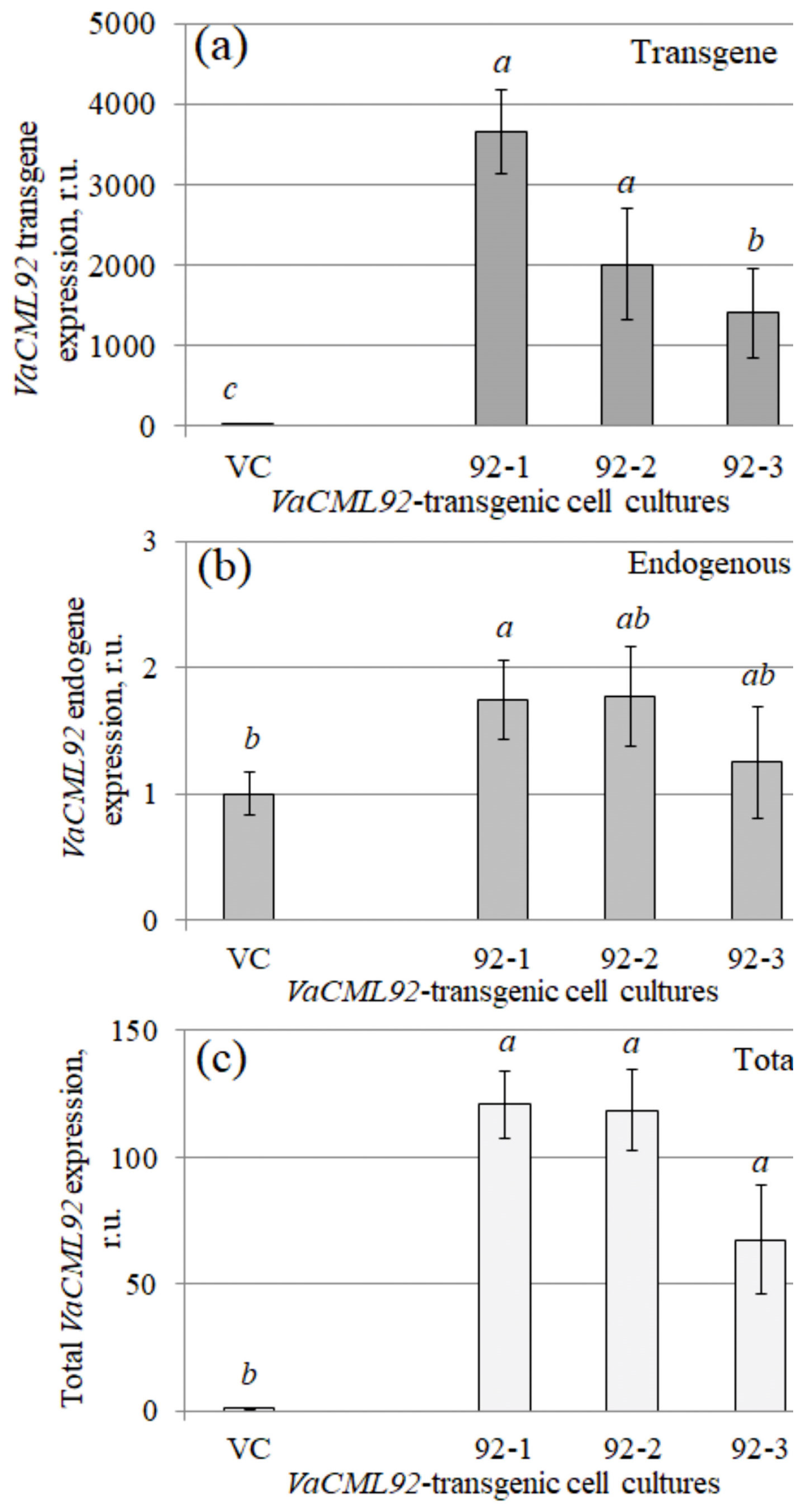 Ijms 24 15827 g001 Ijms 24 15827 g001