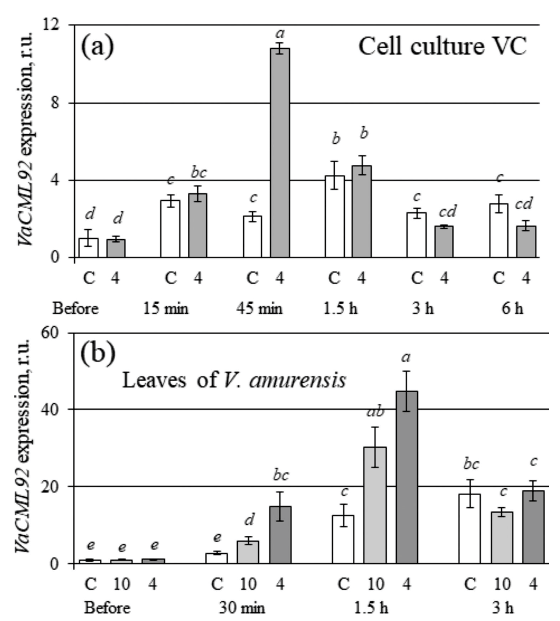 Ijms 24 15827 g005 Ijms 24 15827 g005
