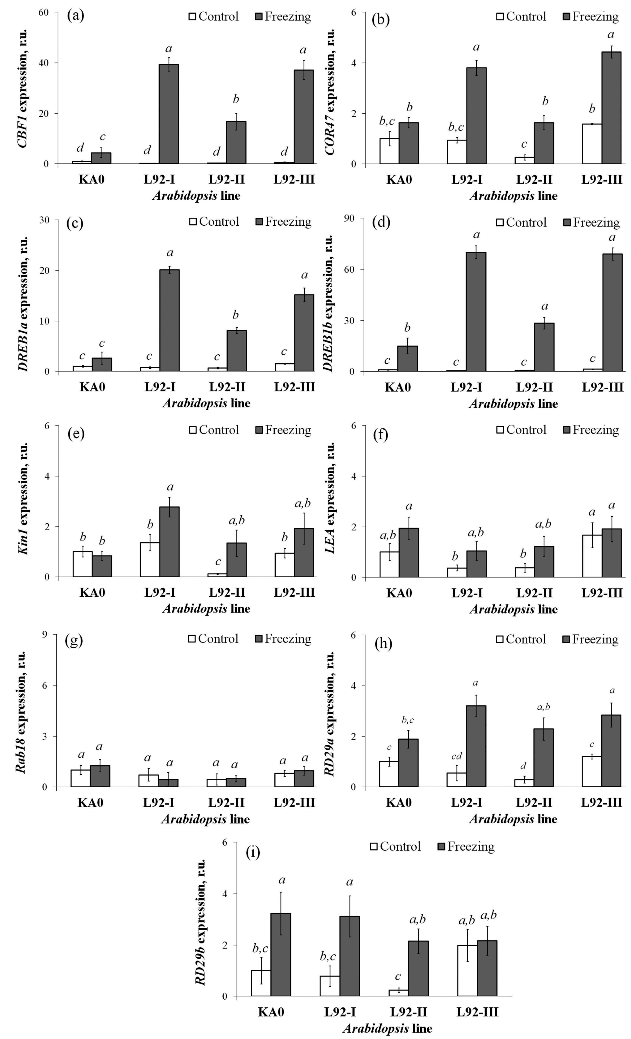 Ijms 24 15827 g007 Ijms 24 15827 g007