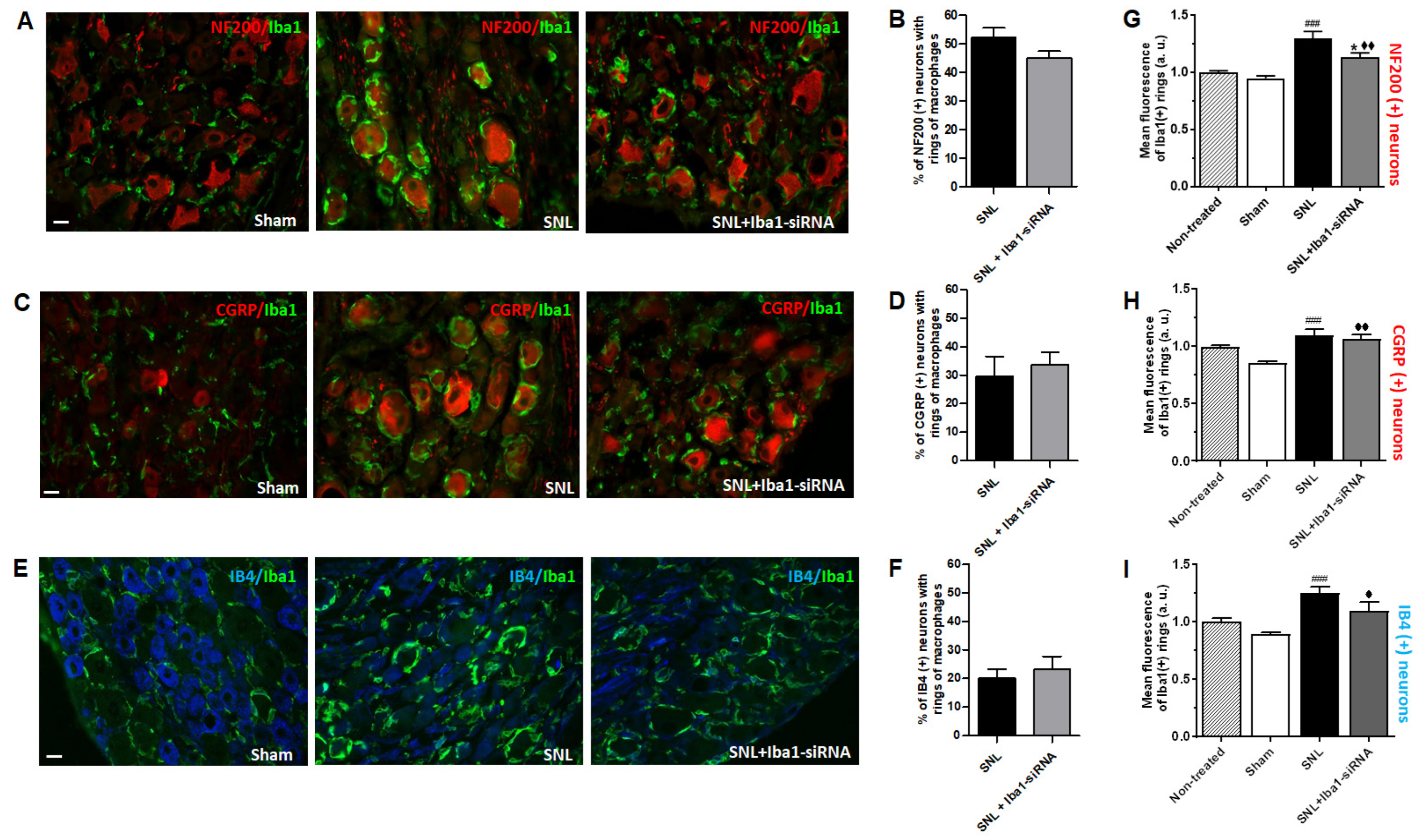 Ijms 24 15831 g002 Ijms 24 15831 g002