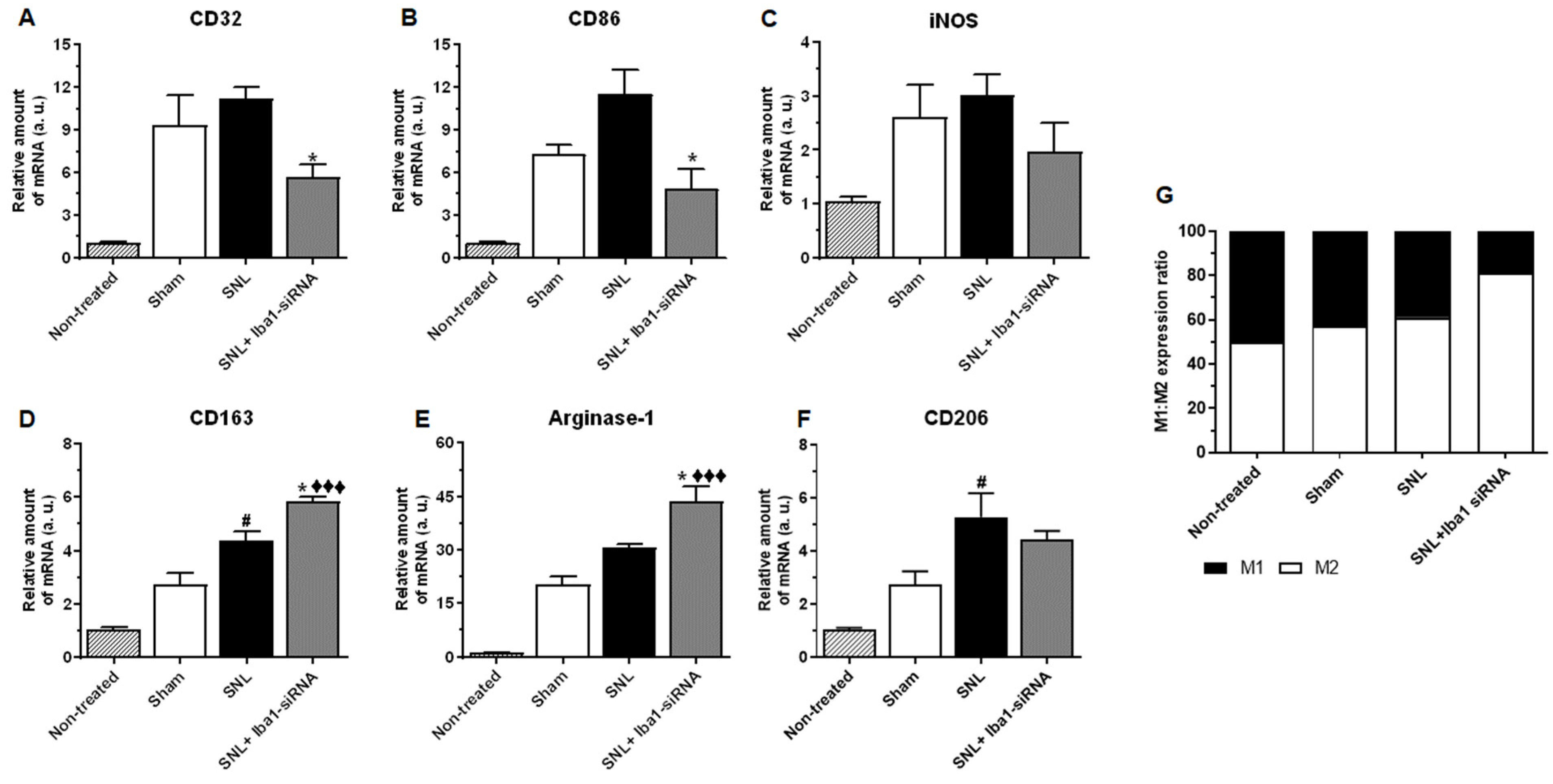 Ijms 24 15831 g005 Ijms 24 15831 g005