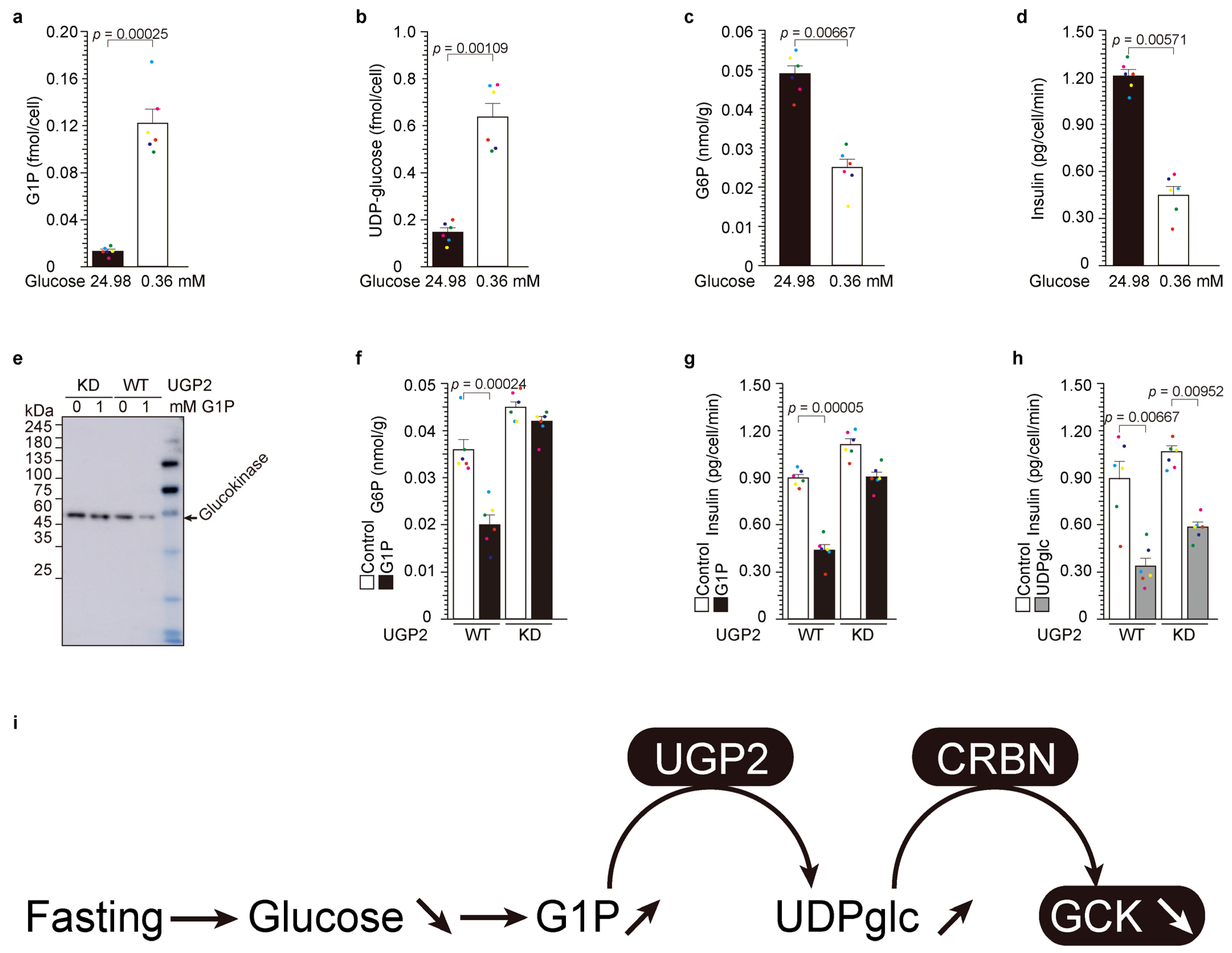 Ijms 24 15842 g002 Ijms 24 15842 g002