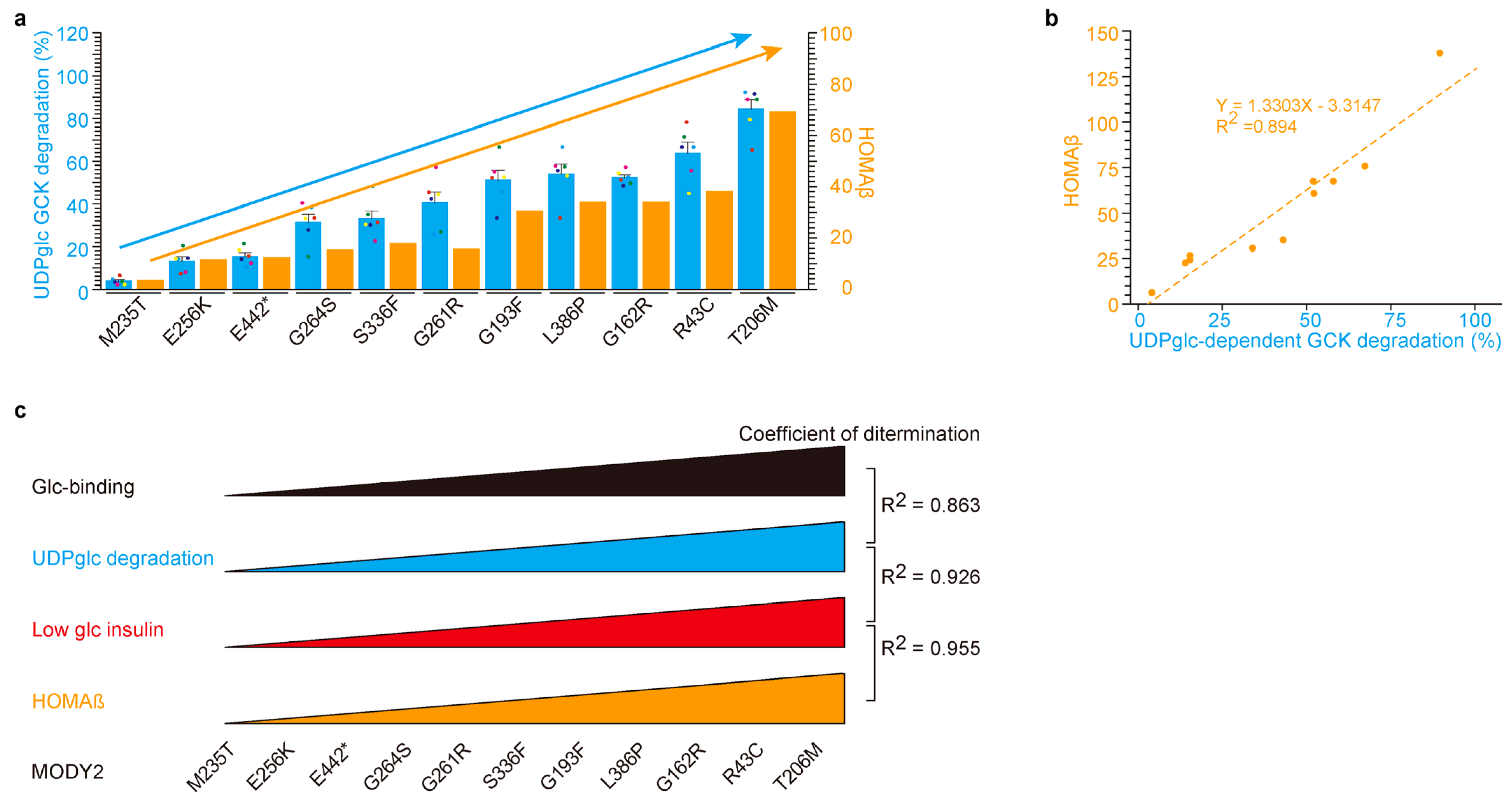Ijms 24 15842 g004 Ijms 24 15842 g004