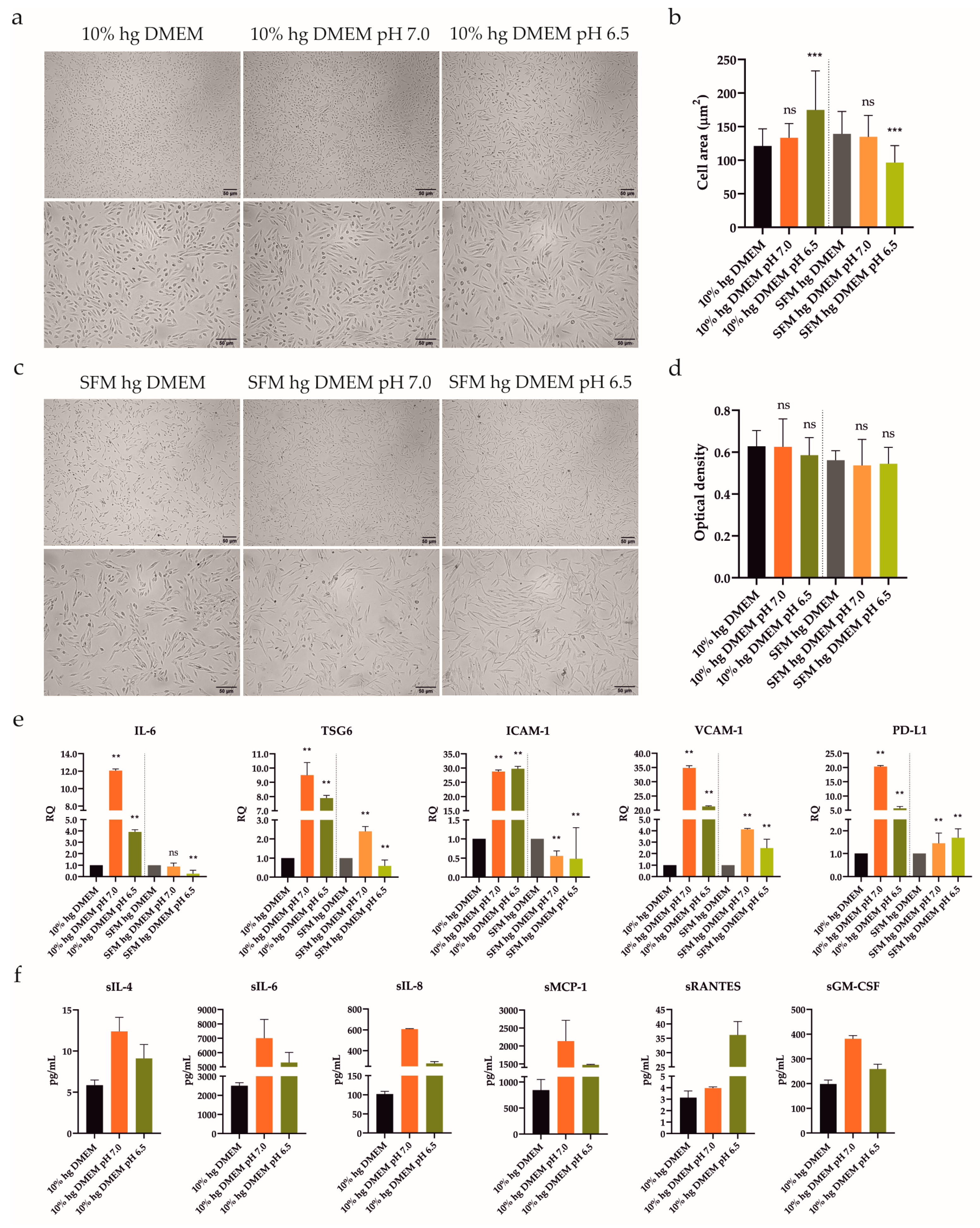 Ijms 24 15856 g003 Ijms 24 15856 g003