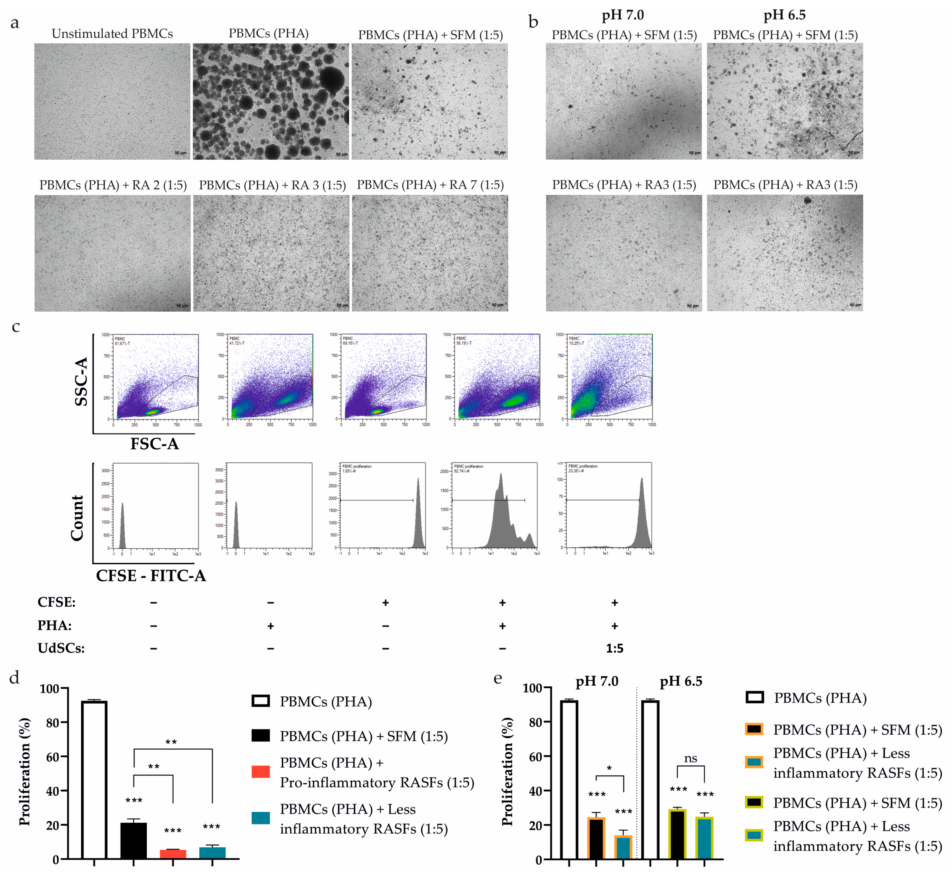Ijms 24 15856 g006 Ijms 24 15856 g006