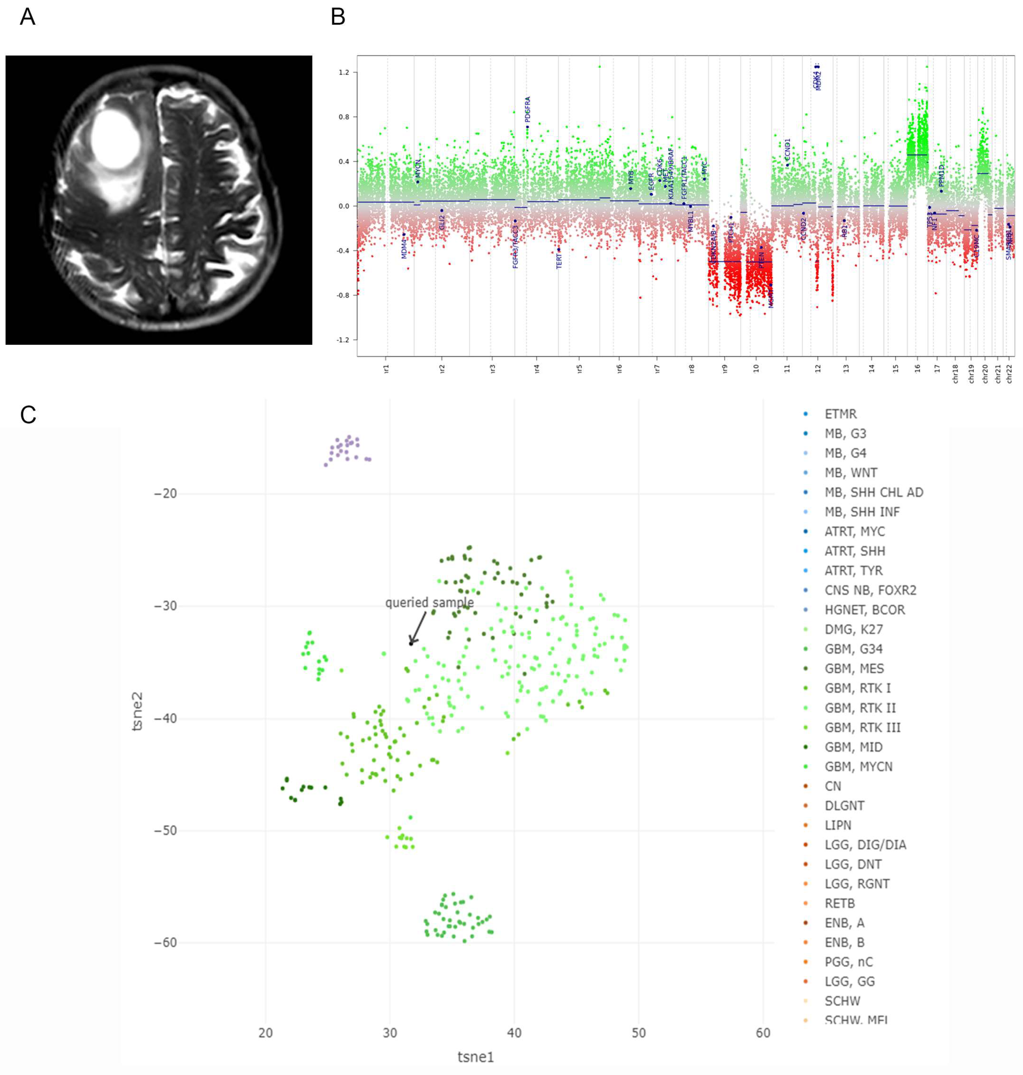 Ijms 24 15861 g001 Ijms 24 15861 g001