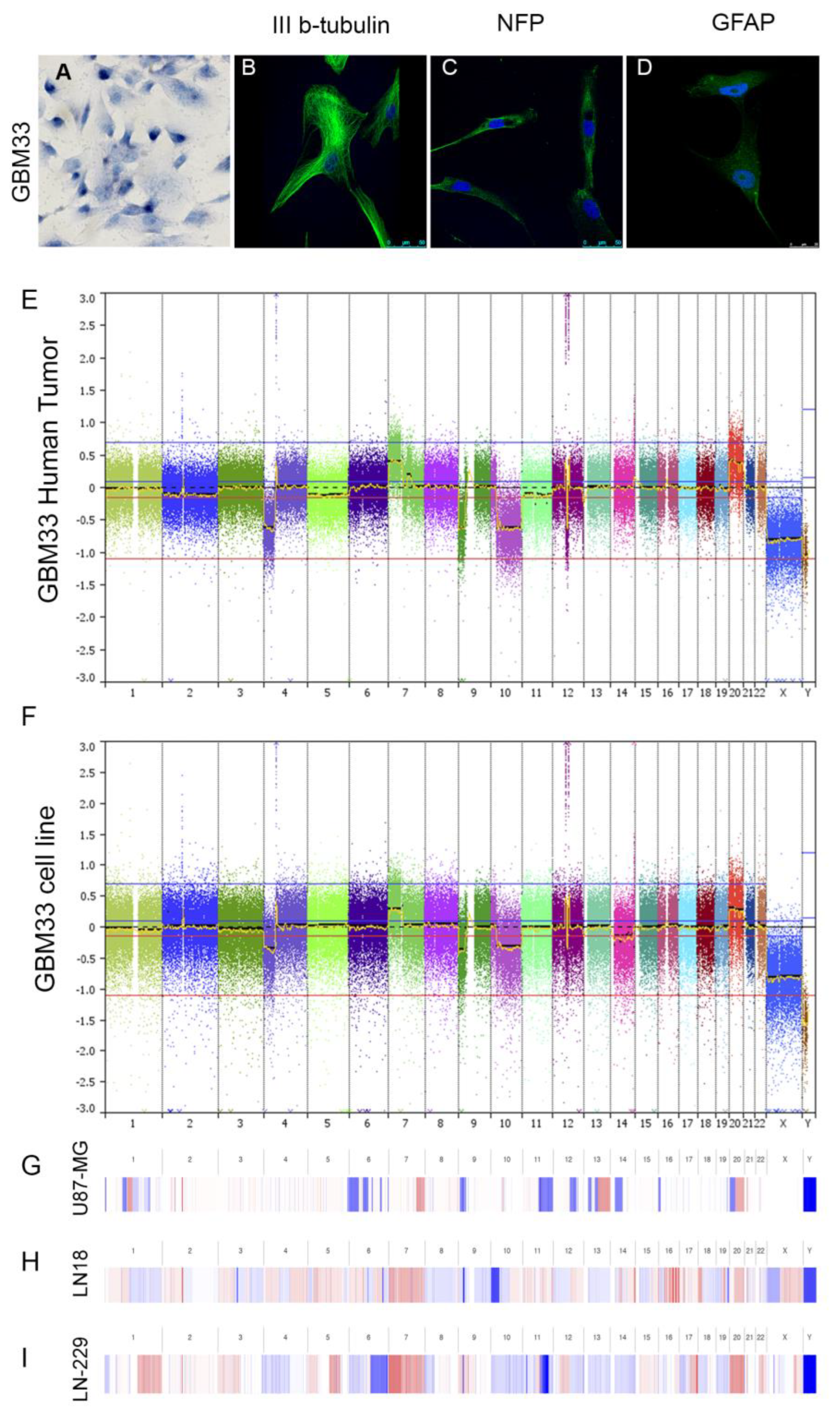 Ijms 24 15861 g002 Ijms 24 15861 g002