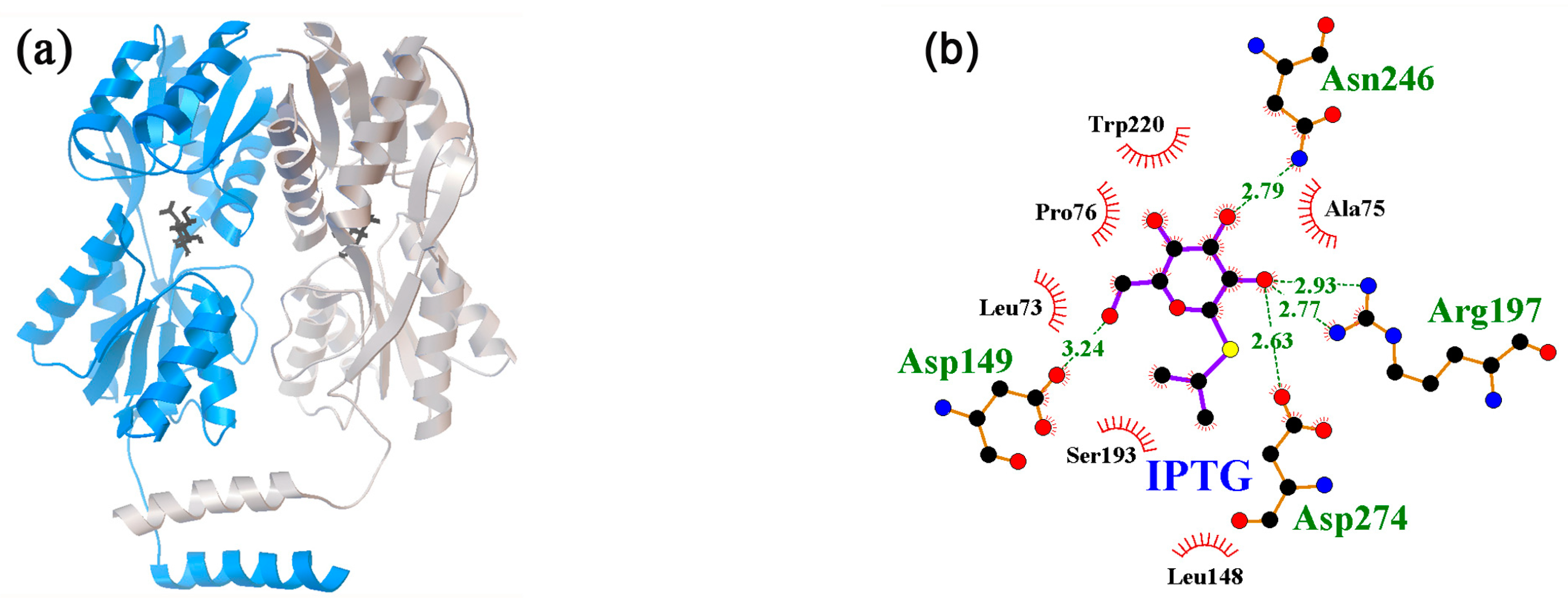 Ijms 24 15863 g001 Ijms 24 15863 g001