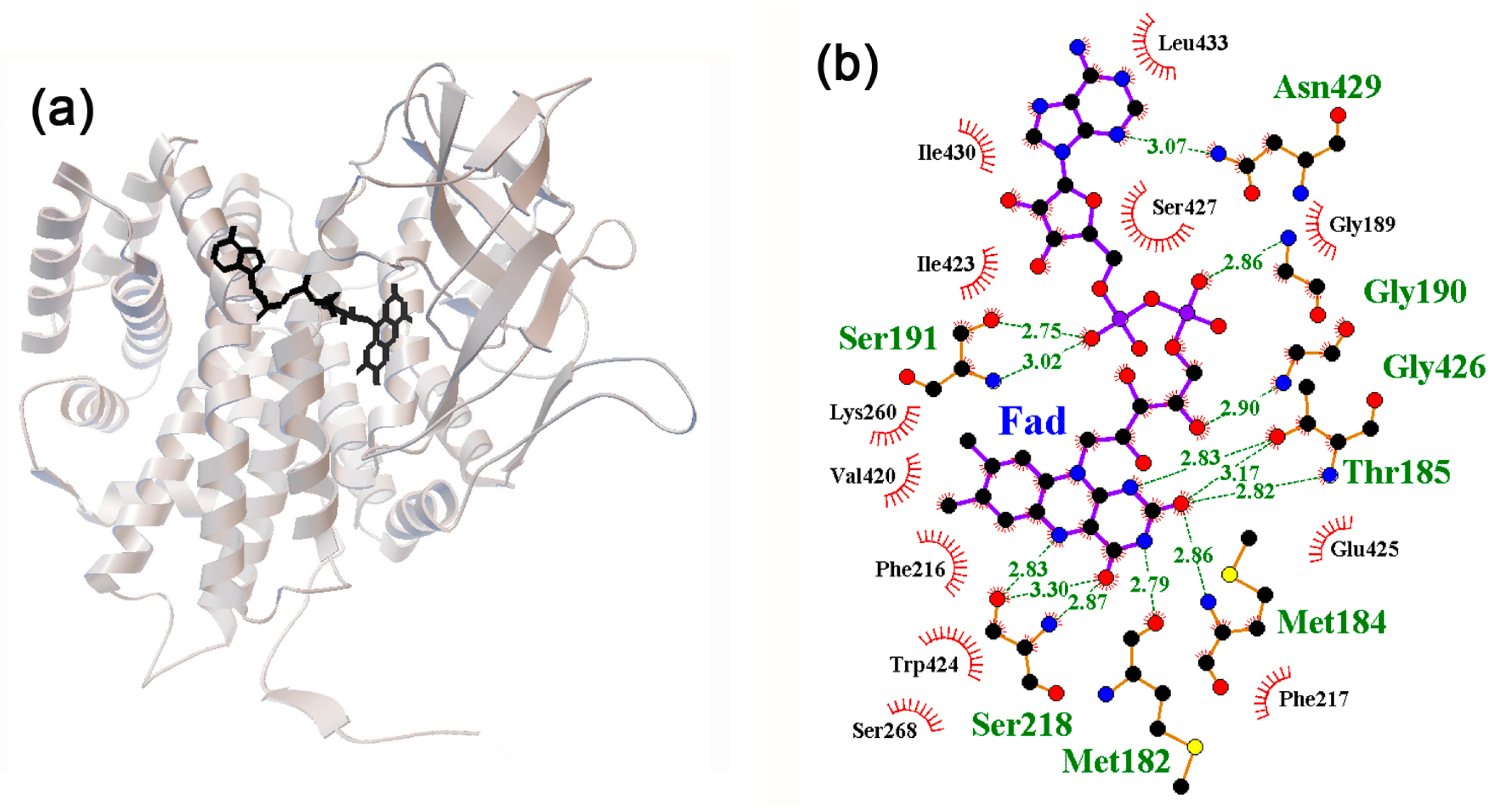 Ijms 24 15863 g005 Ijms 24 15863 g005