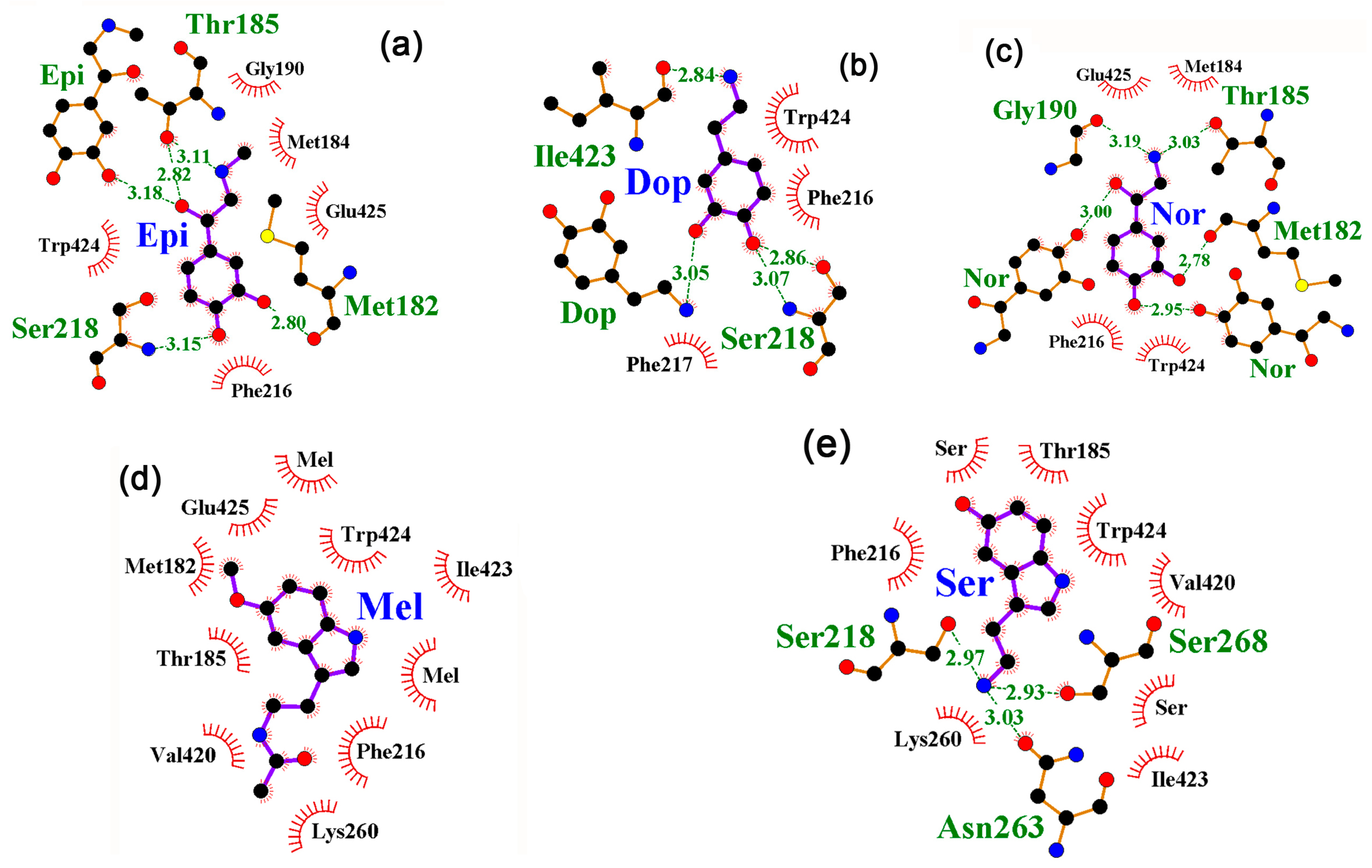 Ijms 24 15863 g006 Ijms 24 15863 g006
