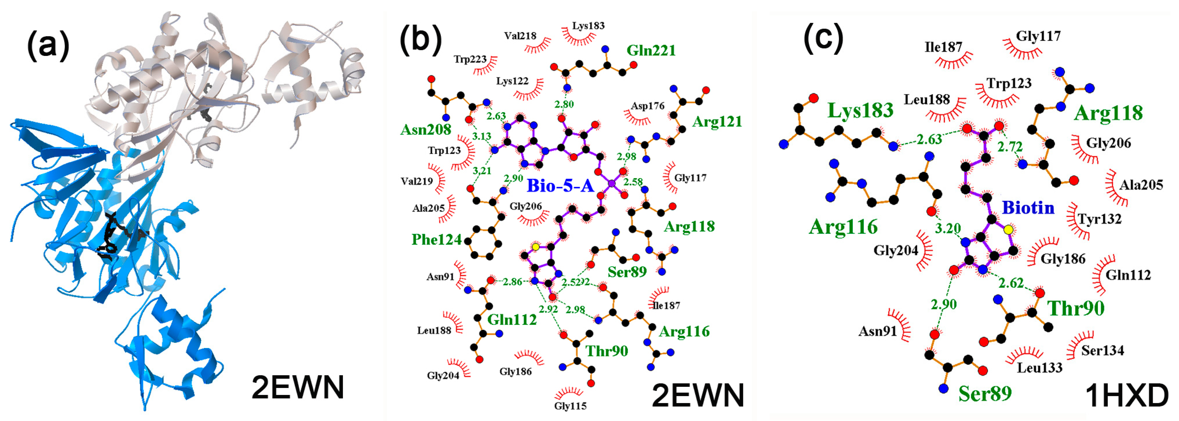 Ijms 24 15863 g007 Ijms 24 15863 g007