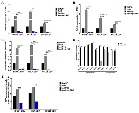 The Dual Functions of Andrographolide in the Epstein–Barr The Dual Functions of Andrographolide in the Epstein–Barr
