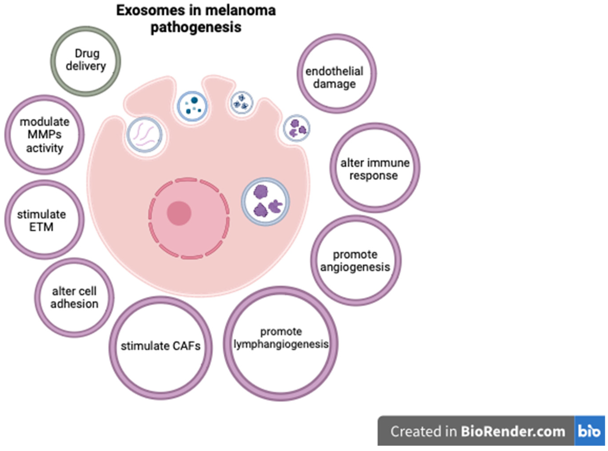 Ijms 24 15881 g001 Ijms 24 15881 g001