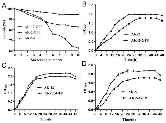 Bacillus amyloliquefaciens AK-12 Helps Rapeseed Establish a
