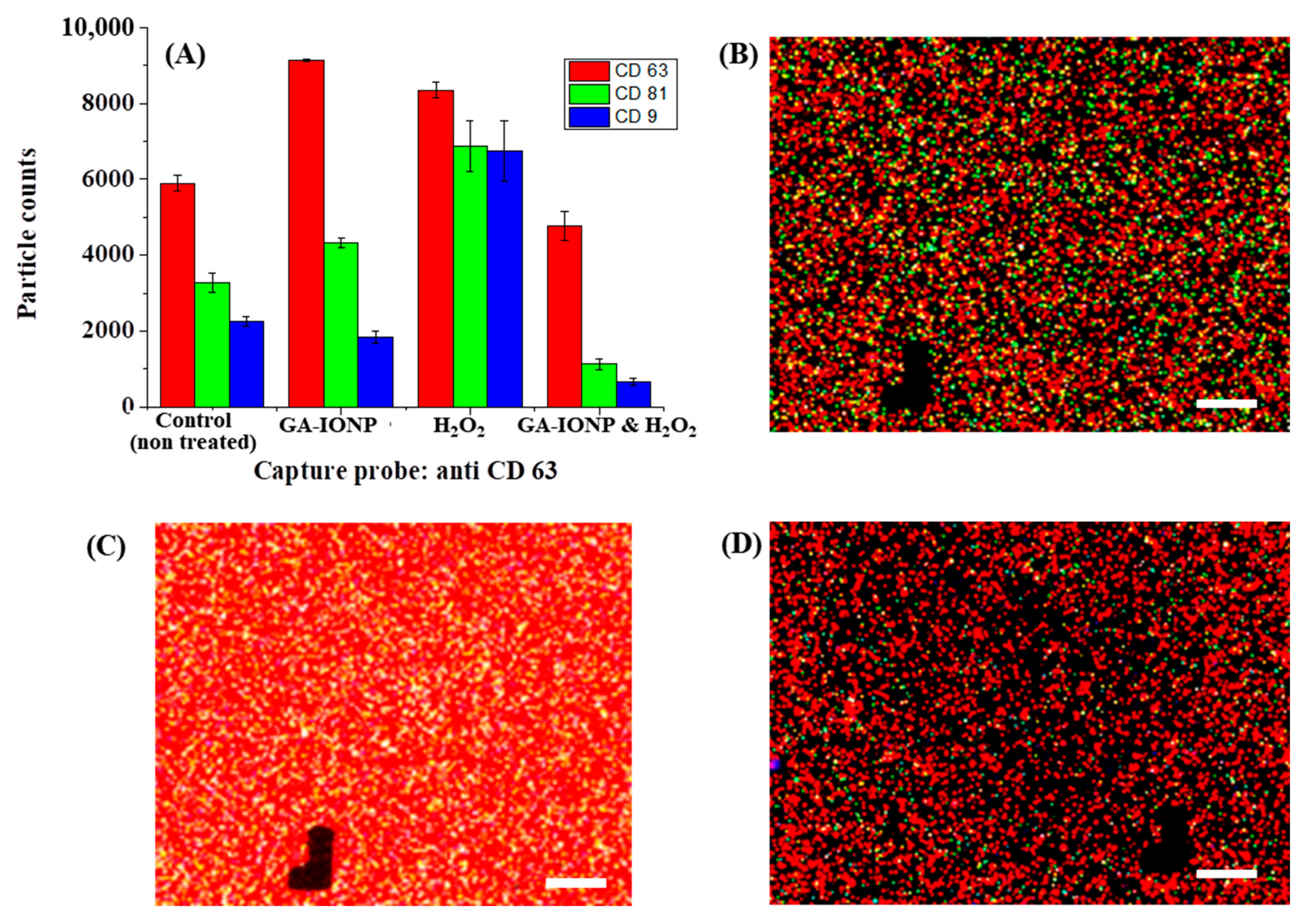 Ijms 24 15901 g005 Ijms 24 15901 g005