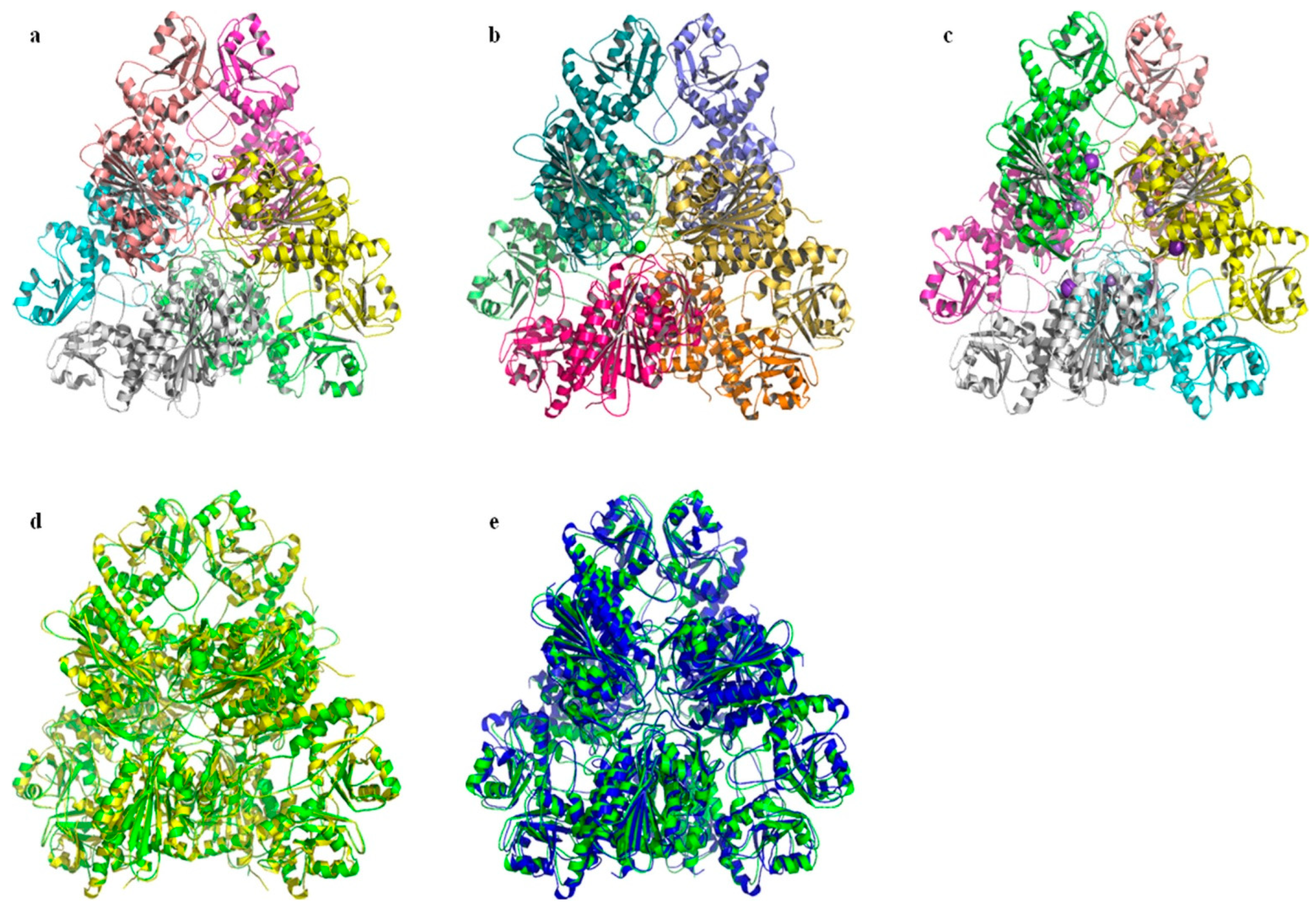 Ijms 24 15939 g007 Ijms 24 15939 g007