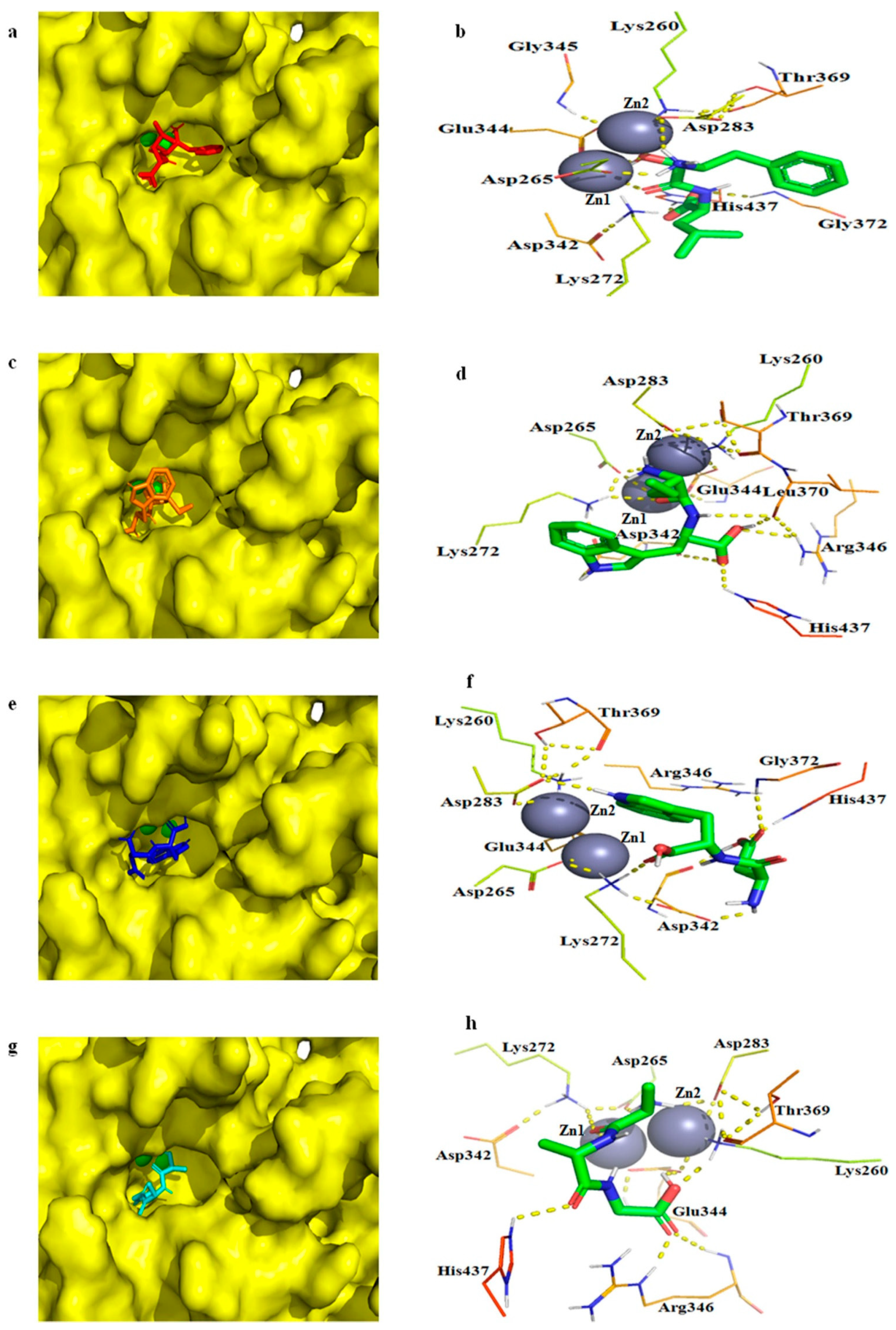 Ijms 24 15939 g009 Ijms 24 15939 g009