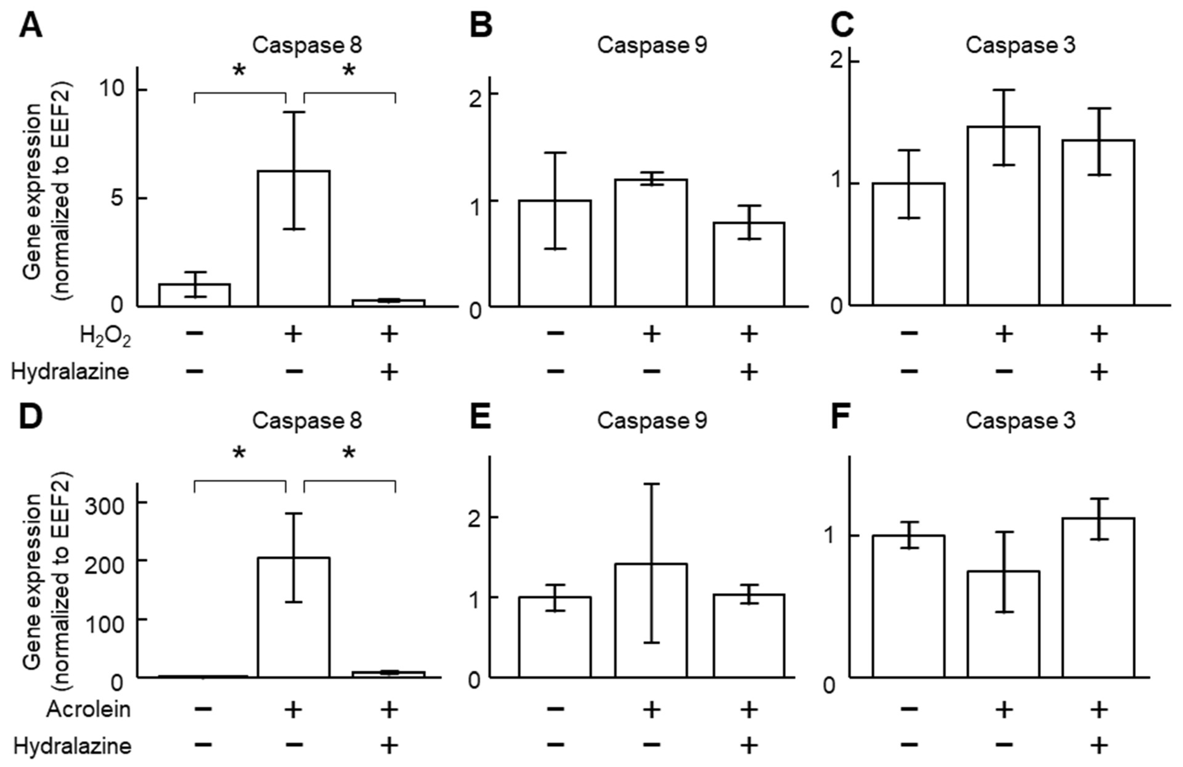 Ijms 24 15955 g002 Ijms 24 15955 g002