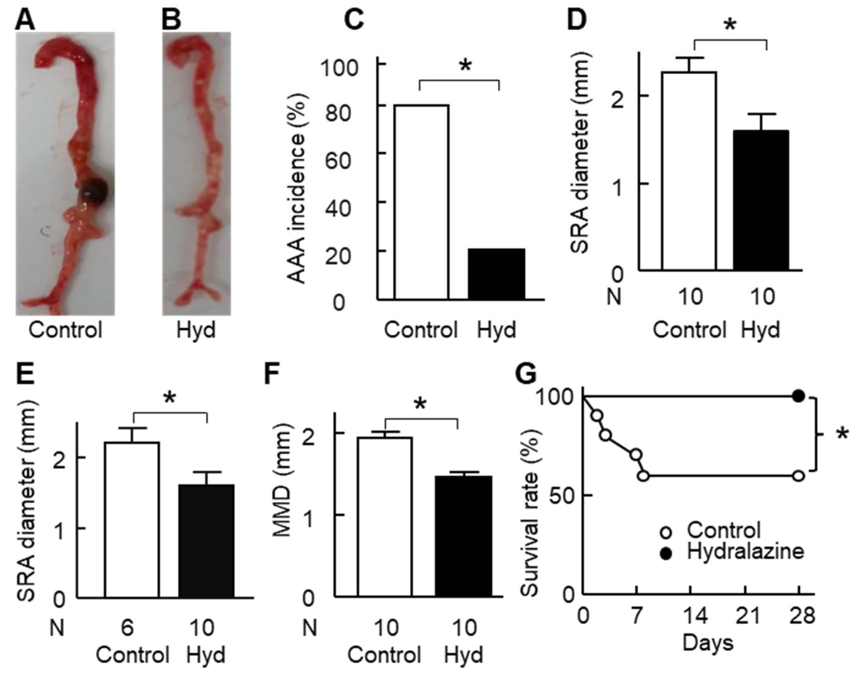 Ijms 24 15955 g006 Ijms 24 15955 g006