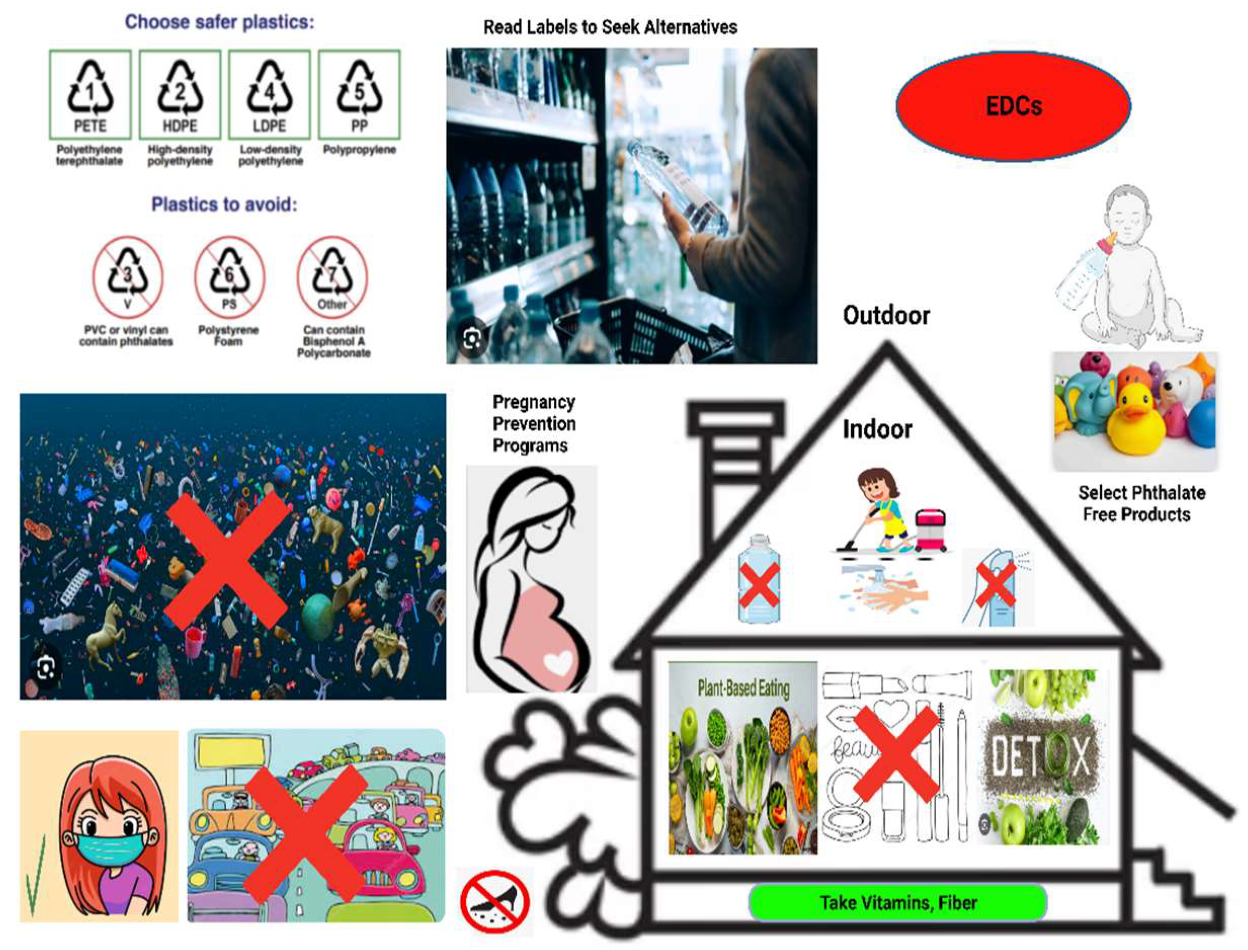 Ijms 24 15972 g004 Ijms 24 15972 g004