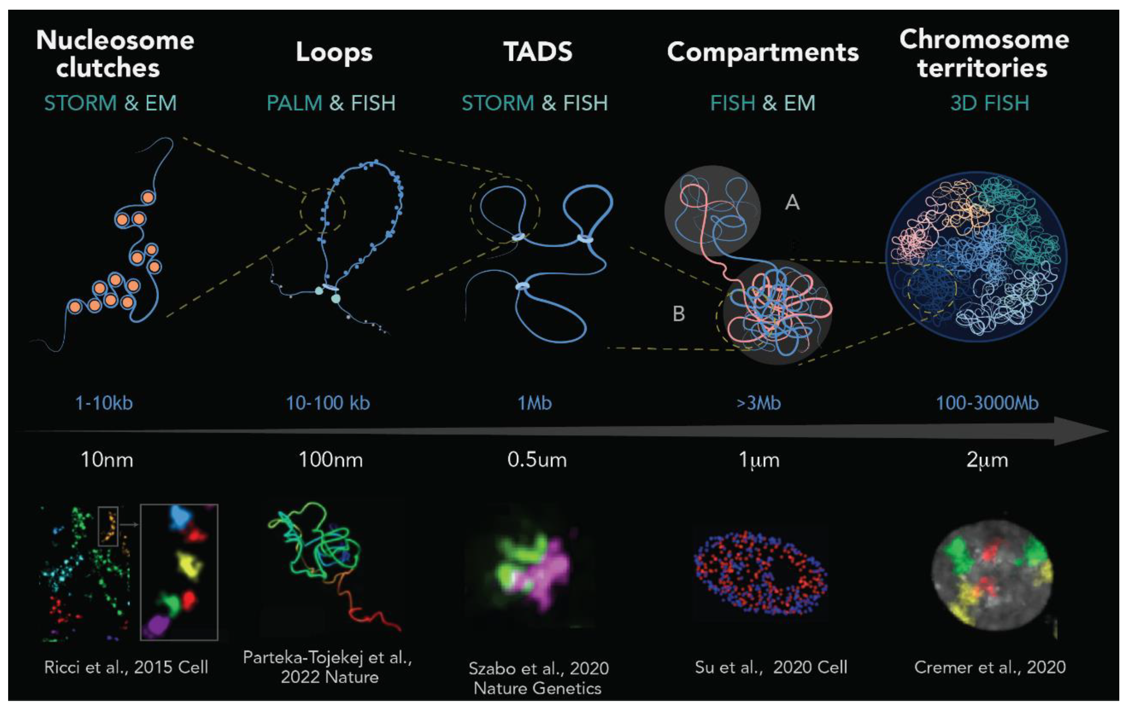 Ijms 24 15975 g002 Ijms 24 15975 g002