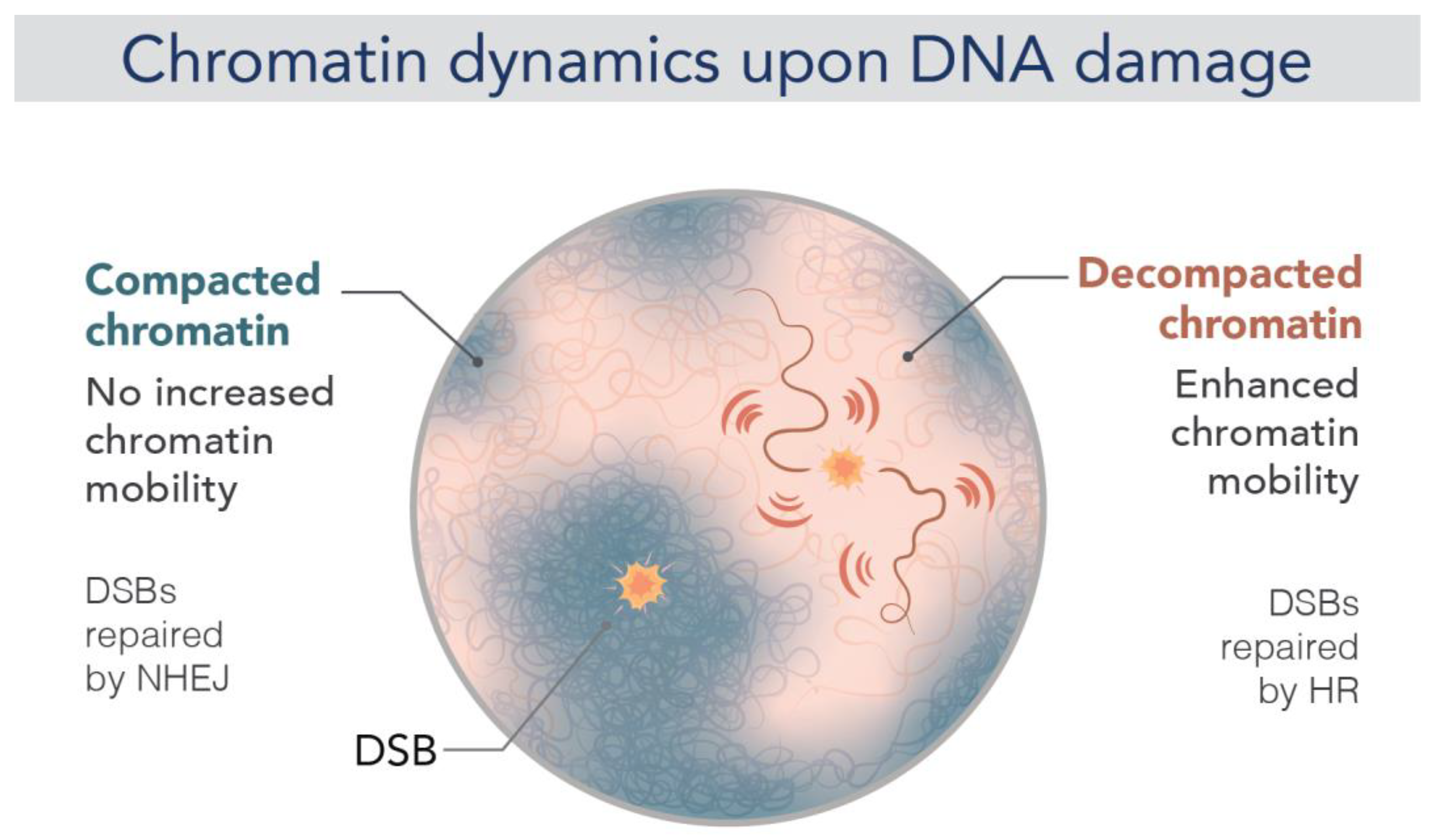 Ijms 24 15975 g004 Ijms 24 15975 g004