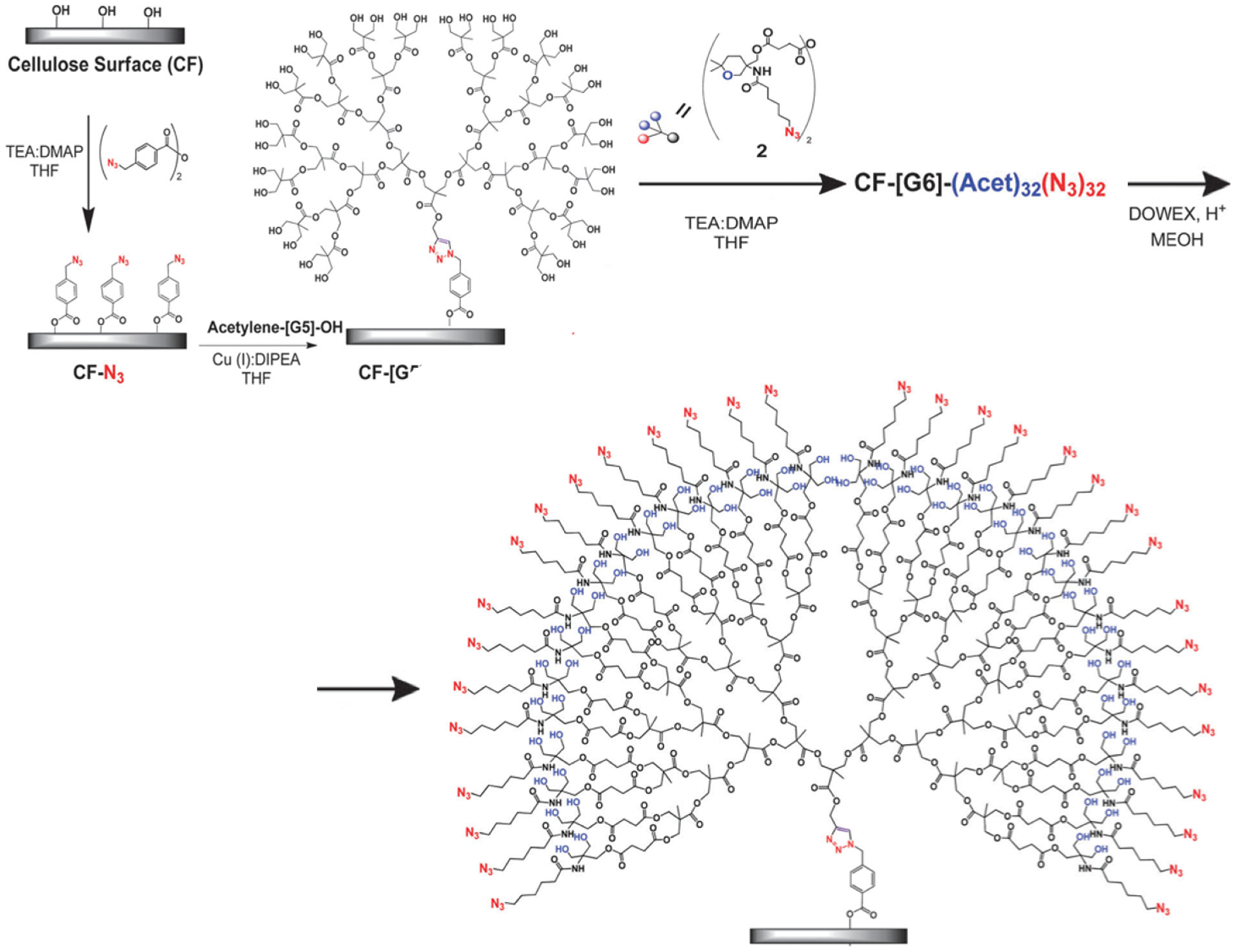 Ijms 24 16006 sch022
