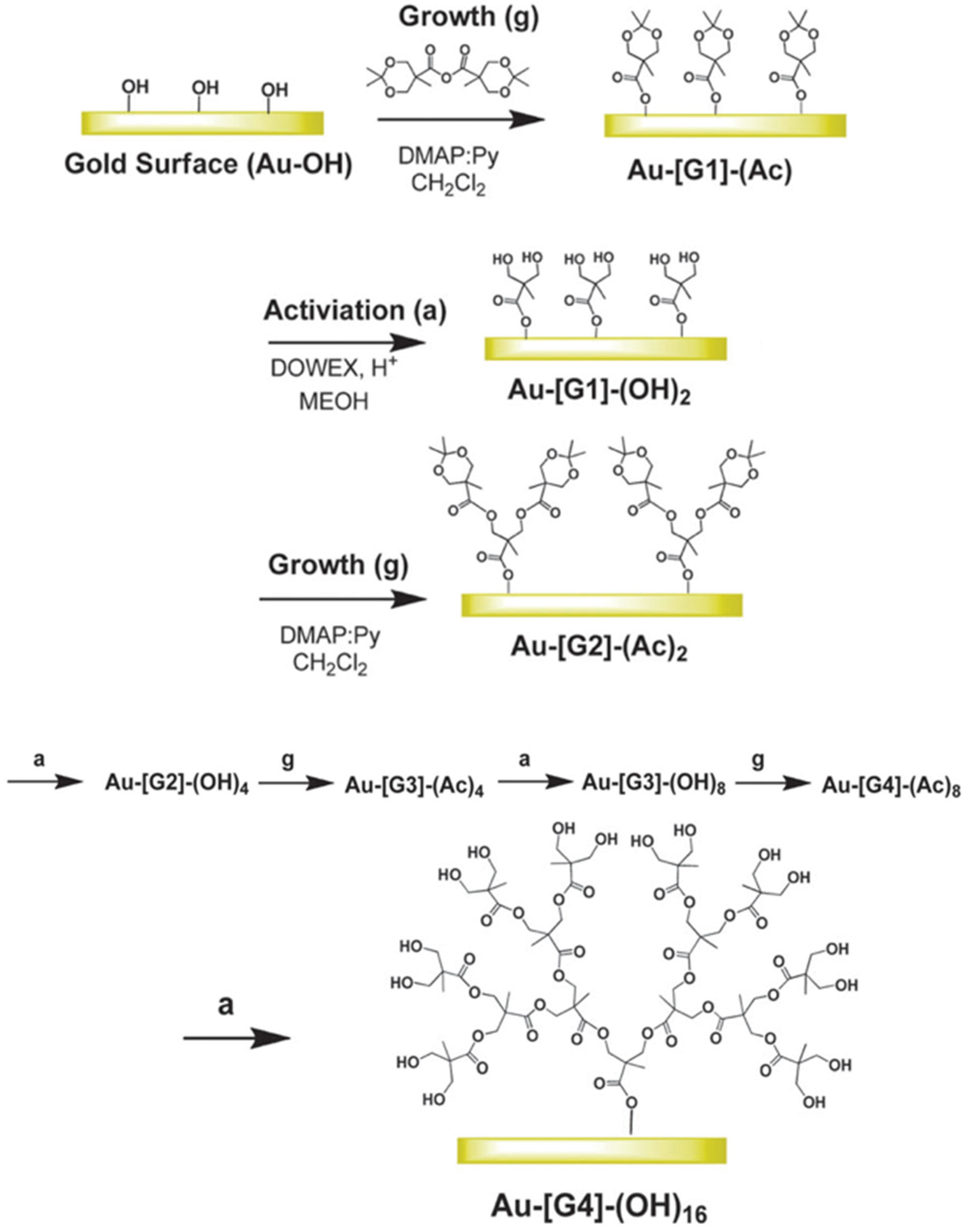 Ijms 24 16006 sch023