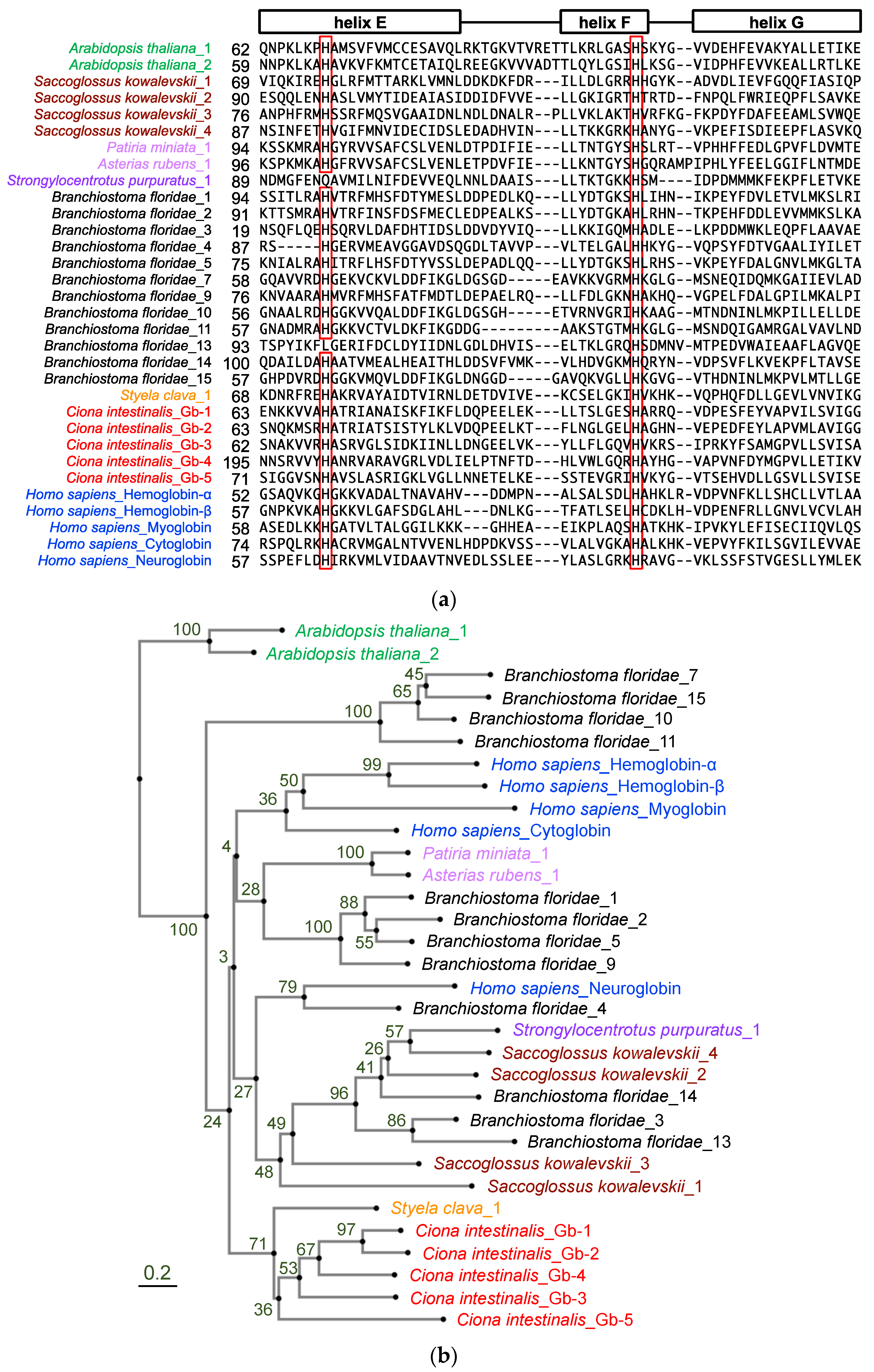 Ijms 24 16009 g001 Ijms 24 16009 g001