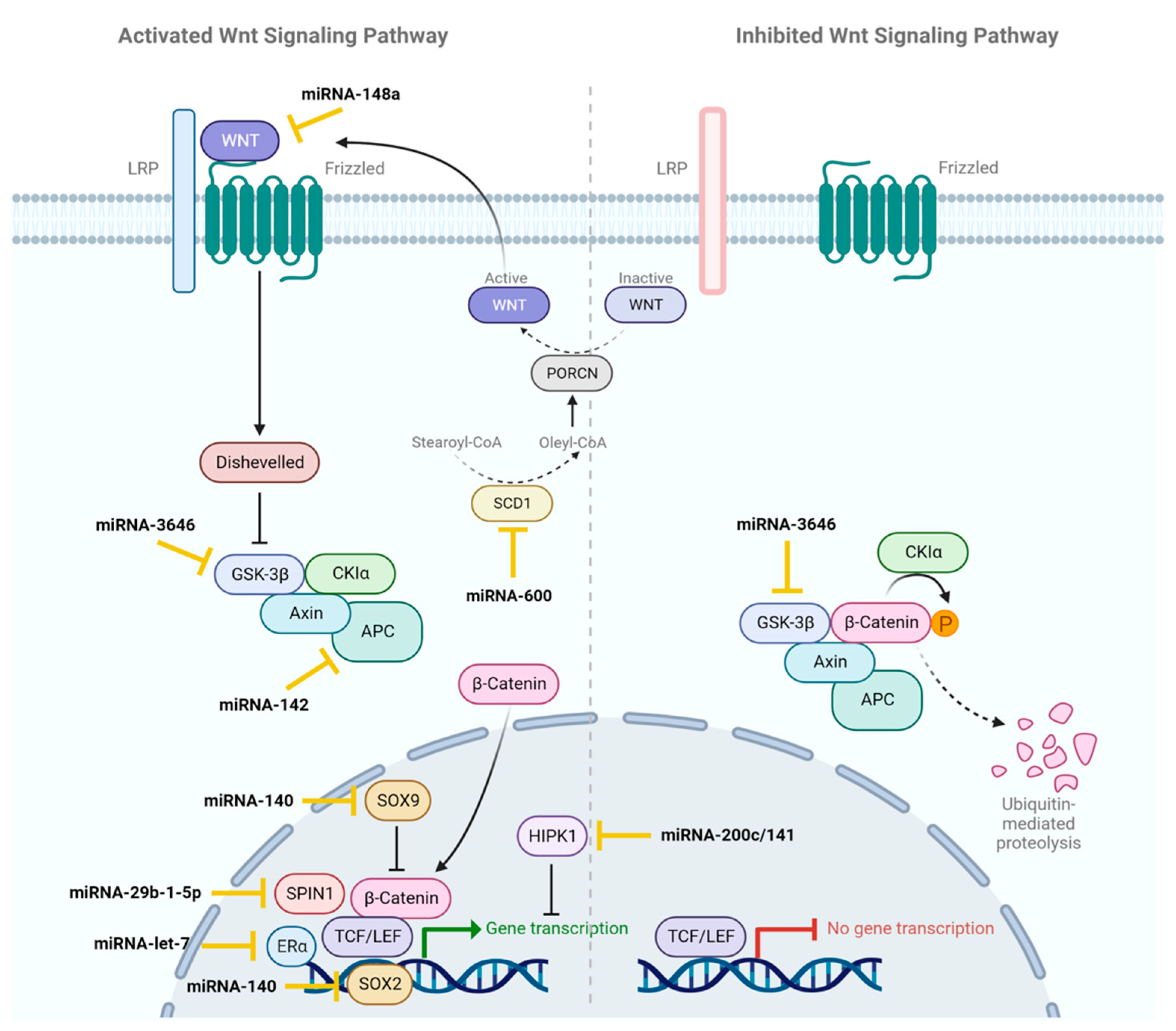 Ijms 24 16010 g002 Ijms 24 16010 g002