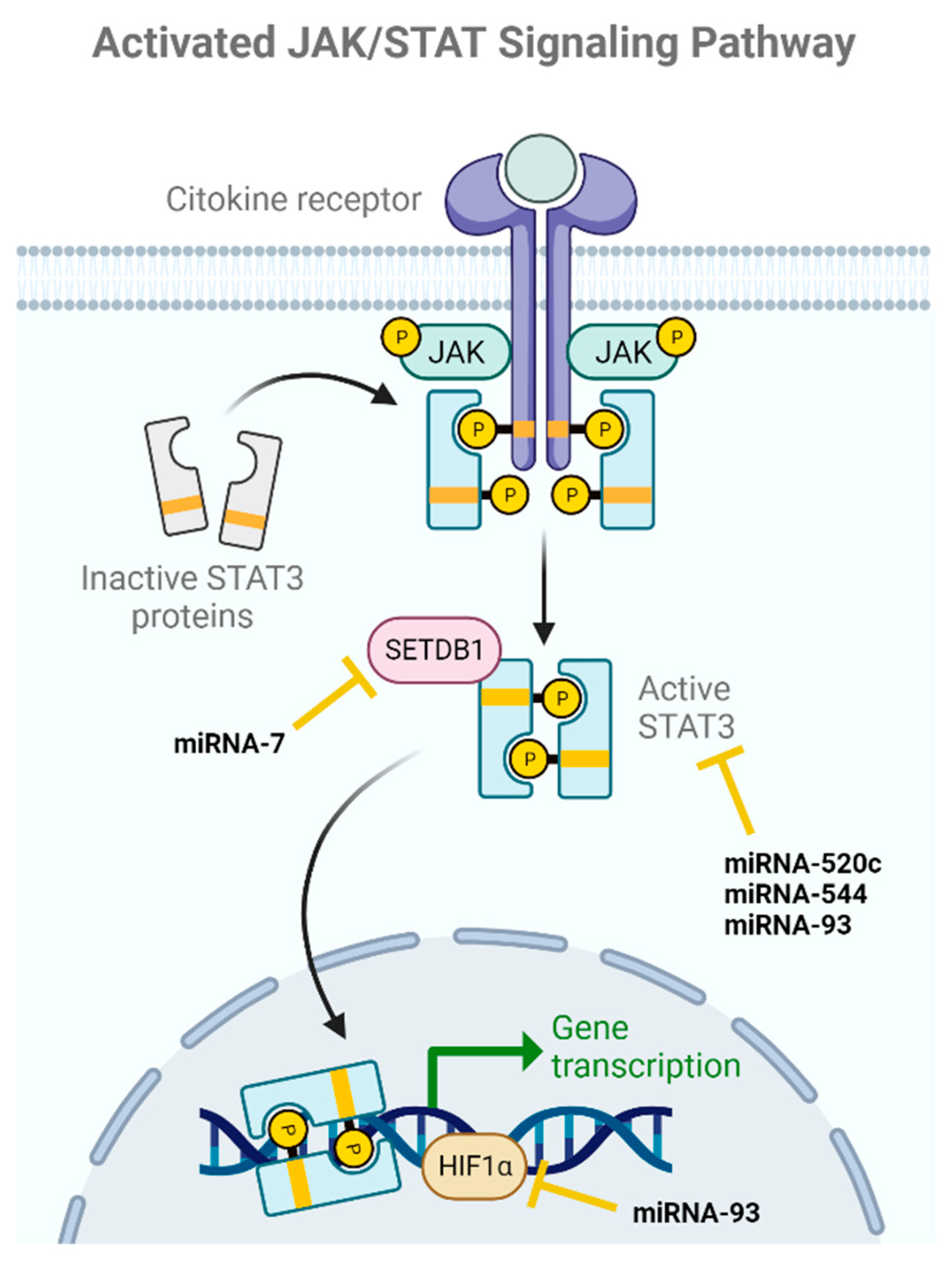 Ijms 24 16010 g003 Ijms 24 16010 g003
