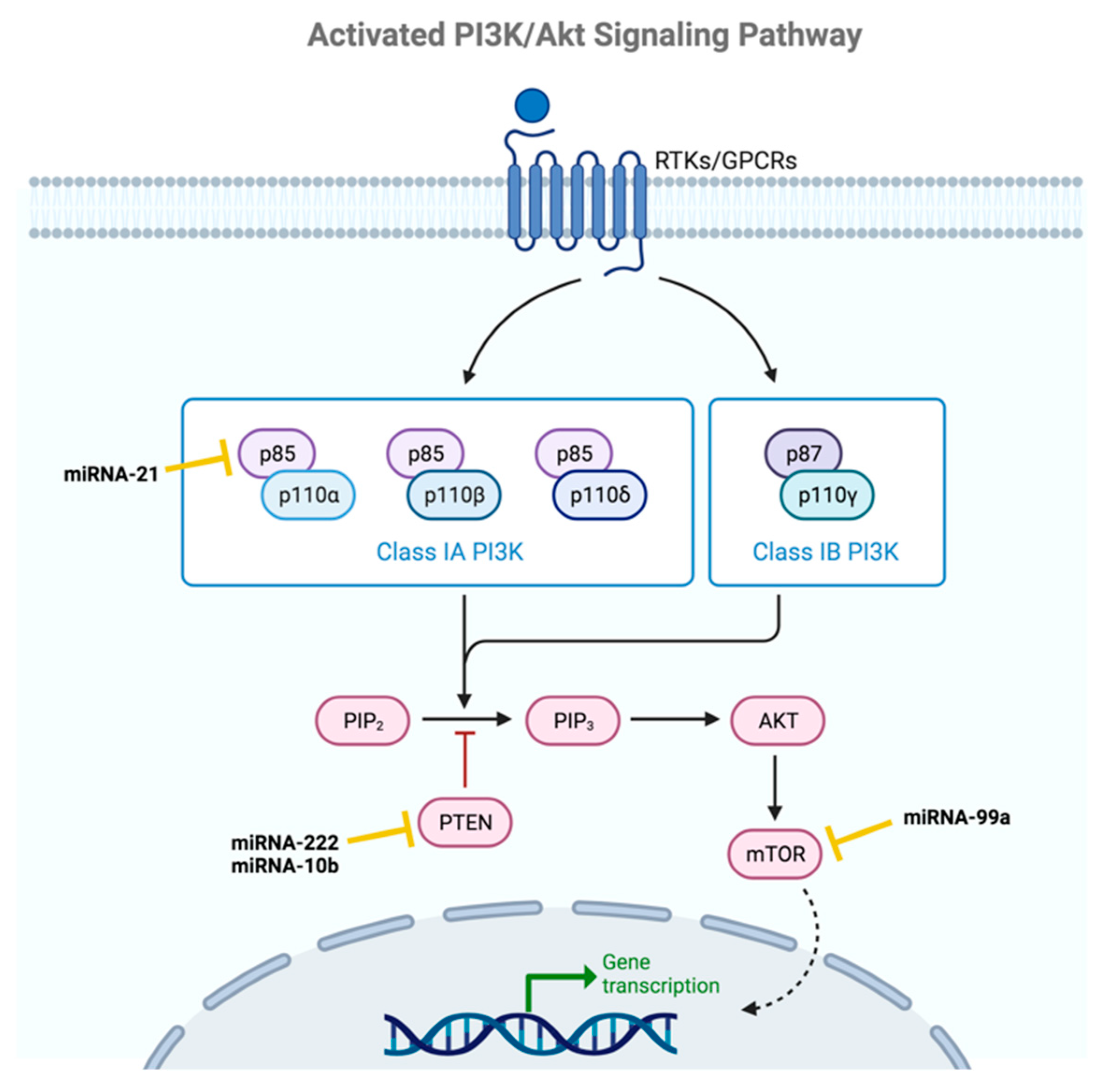 Ijms 24 16010 g005 Ijms 24 16010 g005
