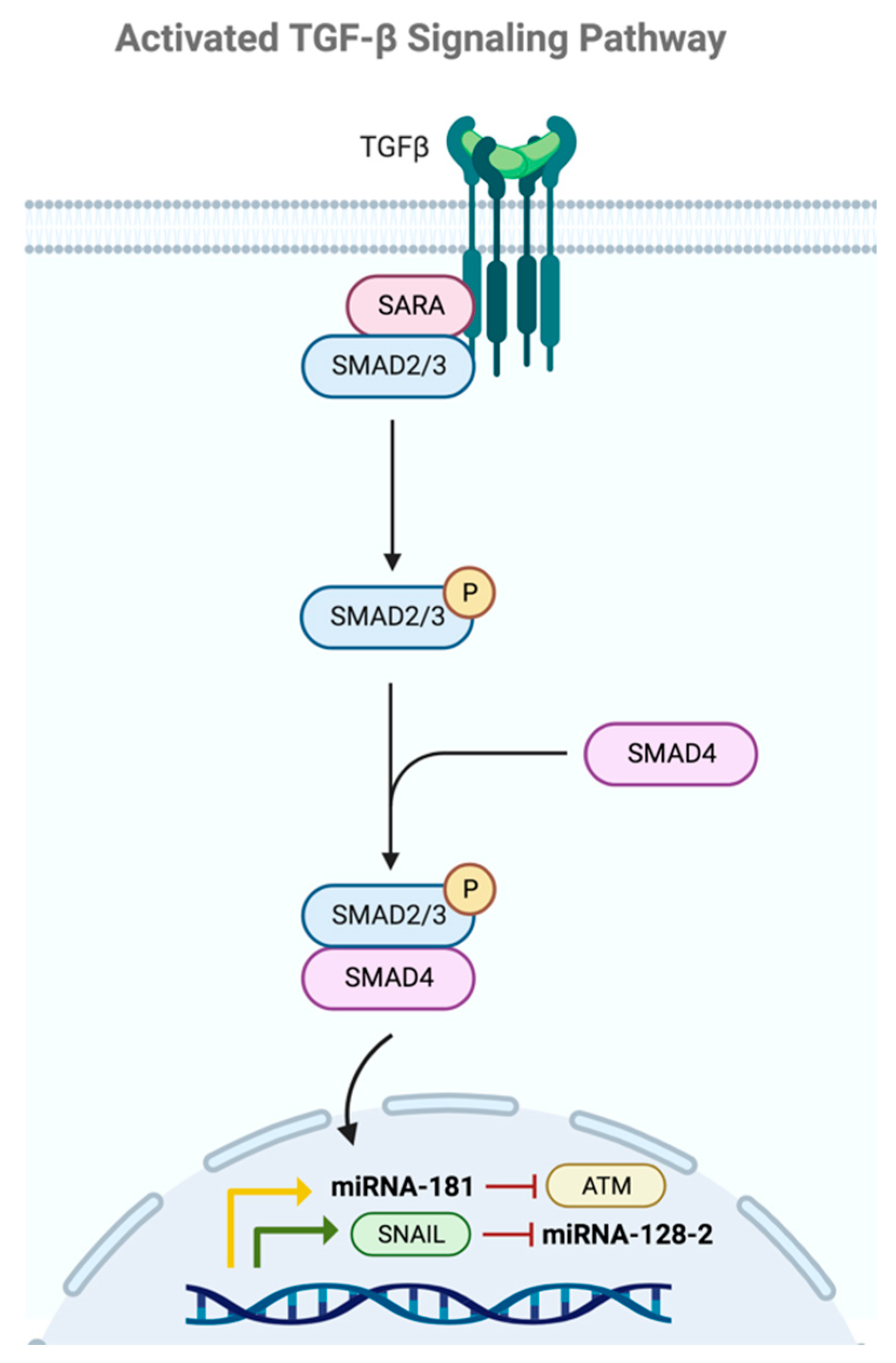 Ijms 24 16010 g006 Ijms 24 16010 g006