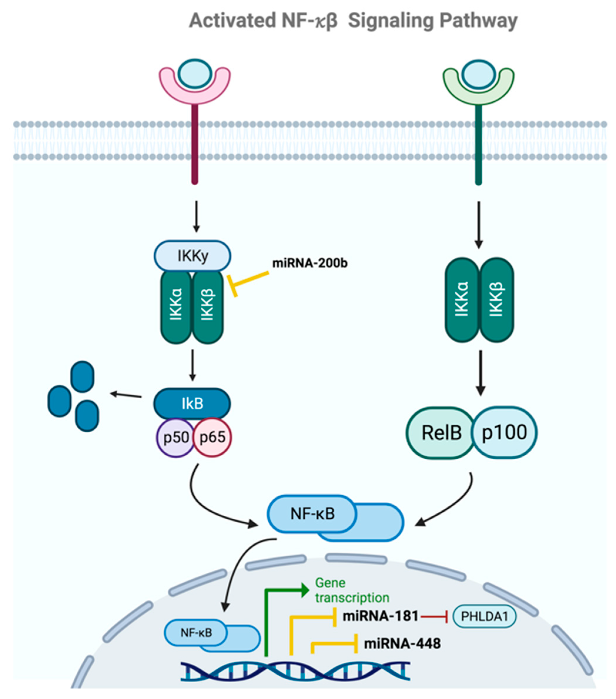 Ijms 24 16010 g007 Ijms 24 16010 g007