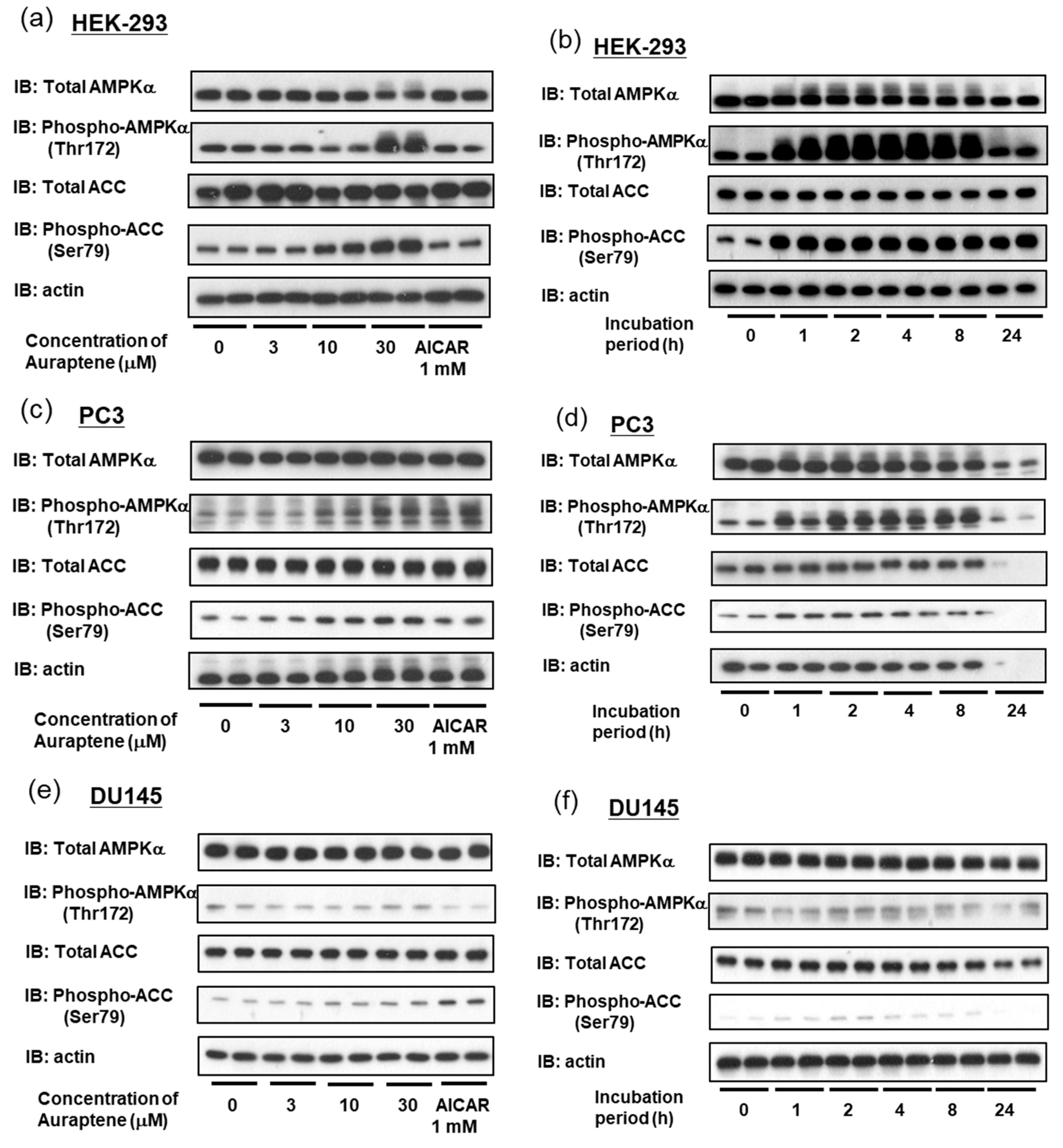 Ijms 24 16011 g003 Ijms 24 16011 g003