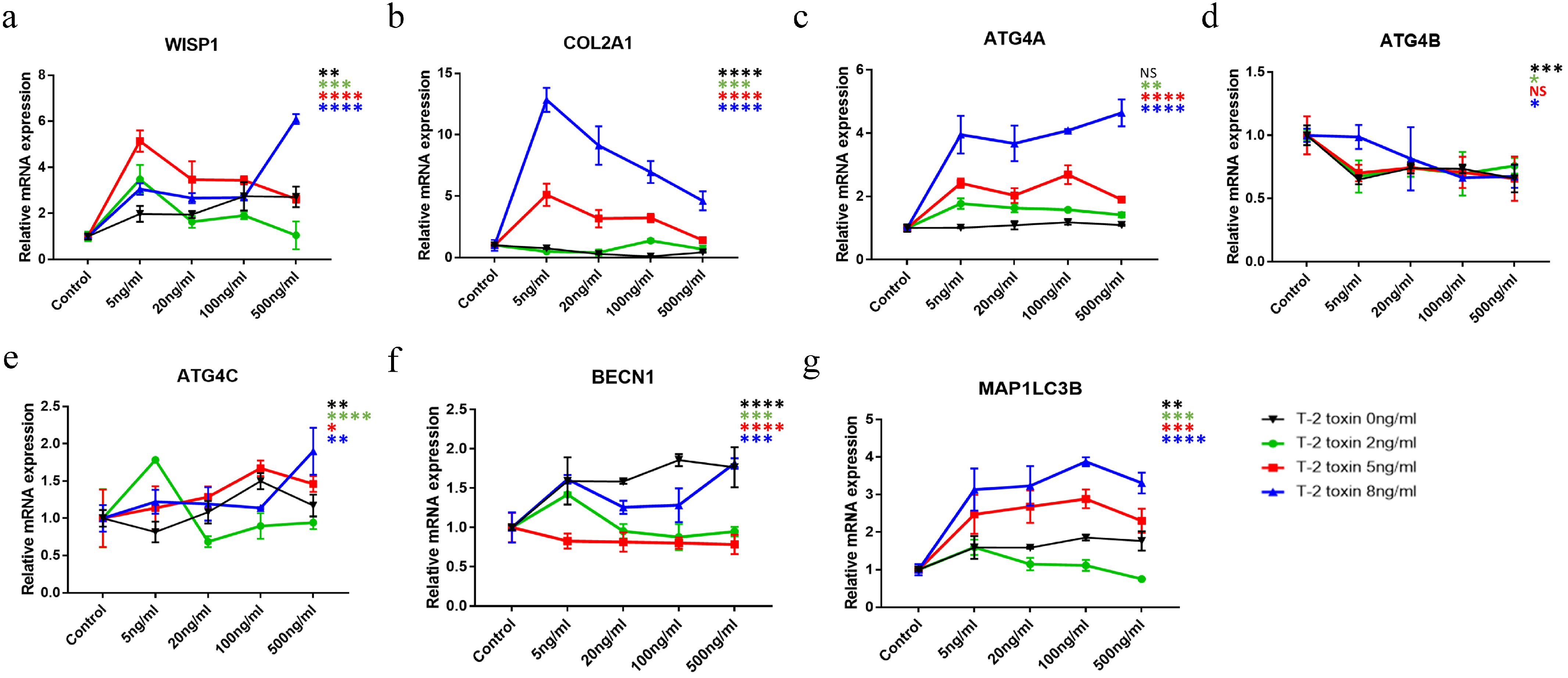 Ijms 24 16037 g004 Ijms 24 16037 g004