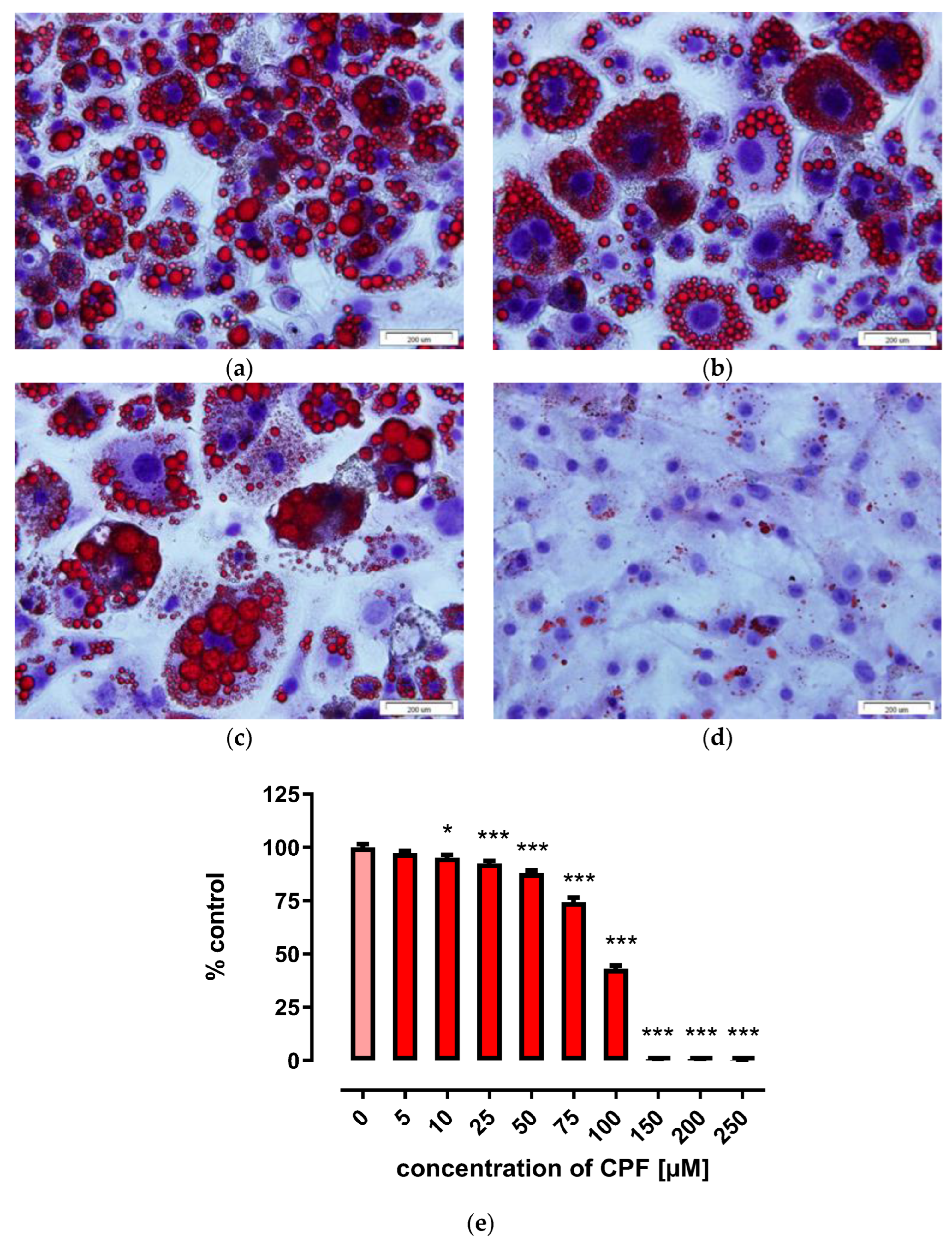 Ijms 24 16038 g006 Ijms 24 16038 g006