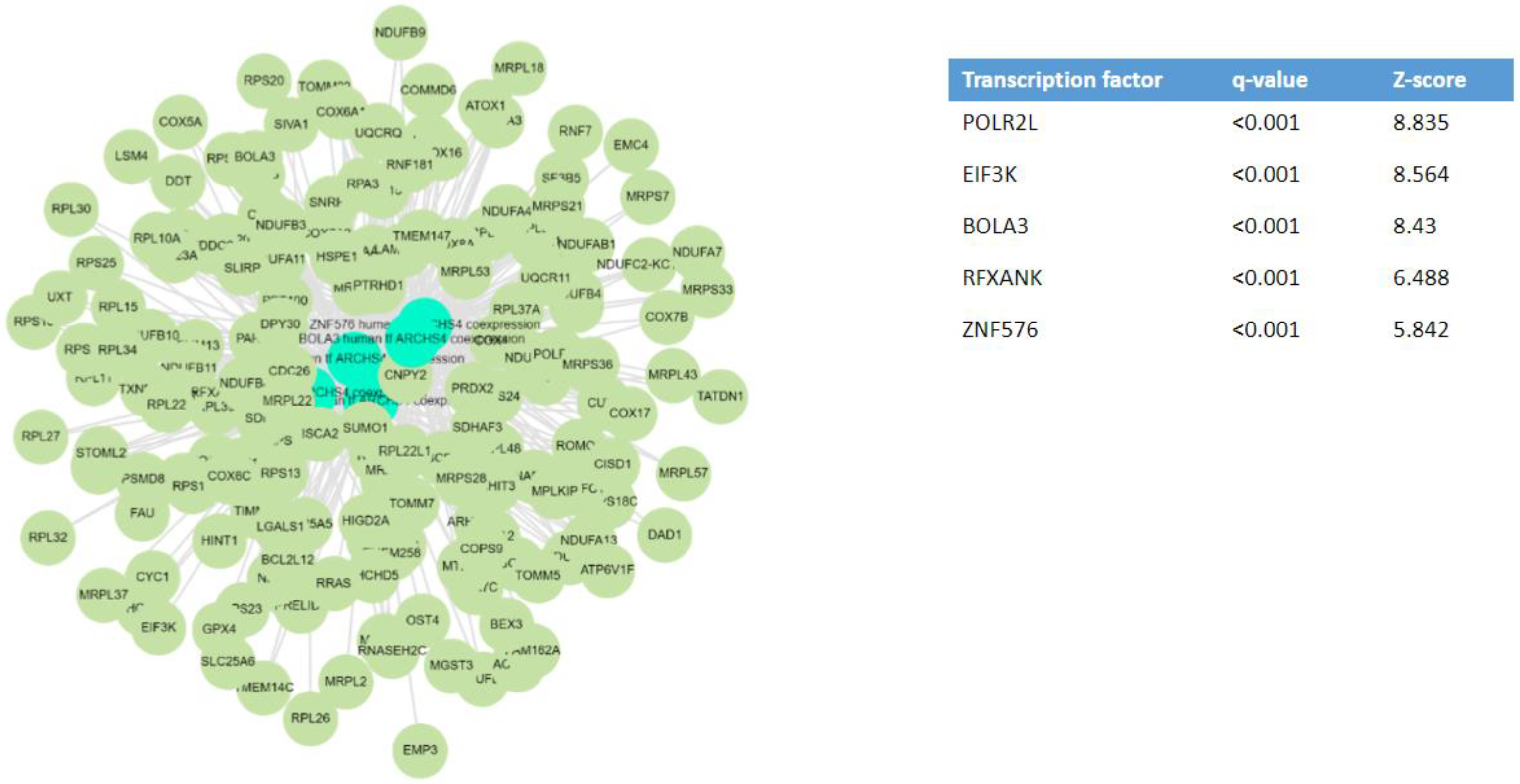 Ijms 24 16078 g003 Ijms 24 16078 g003