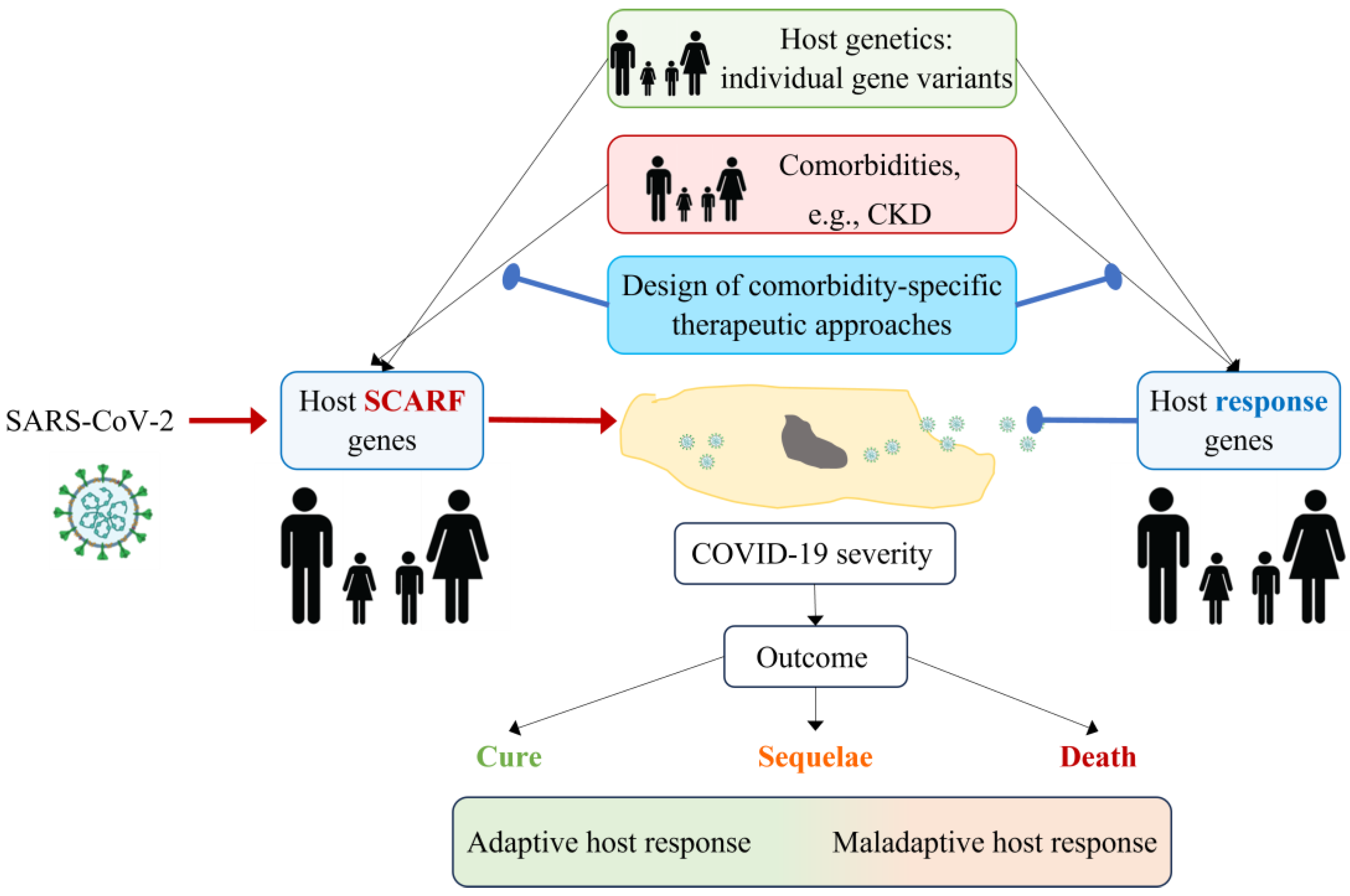 Ijms 24 16078 g005 Ijms 24 16078 g005