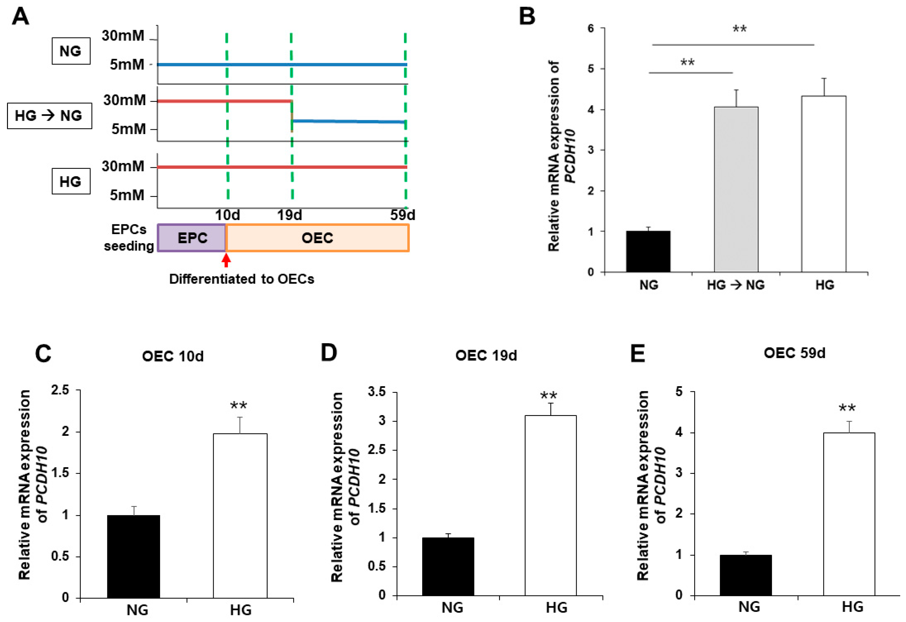 Ijms 24 16082 g006 Ijms 24 16082 g006