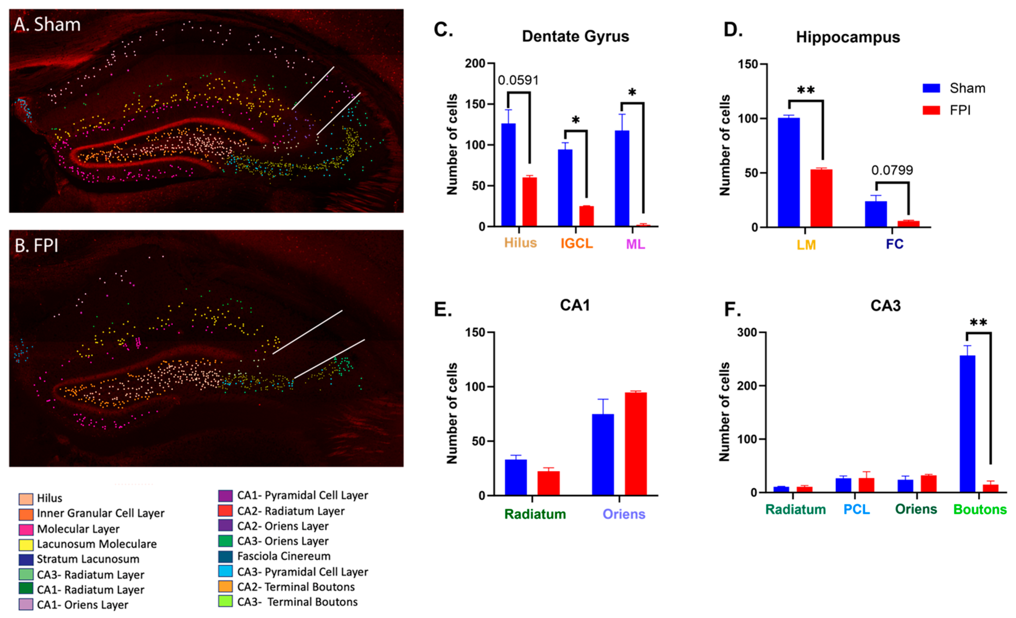Ijms 24 16084 g003 Ijms 24 16084 g003