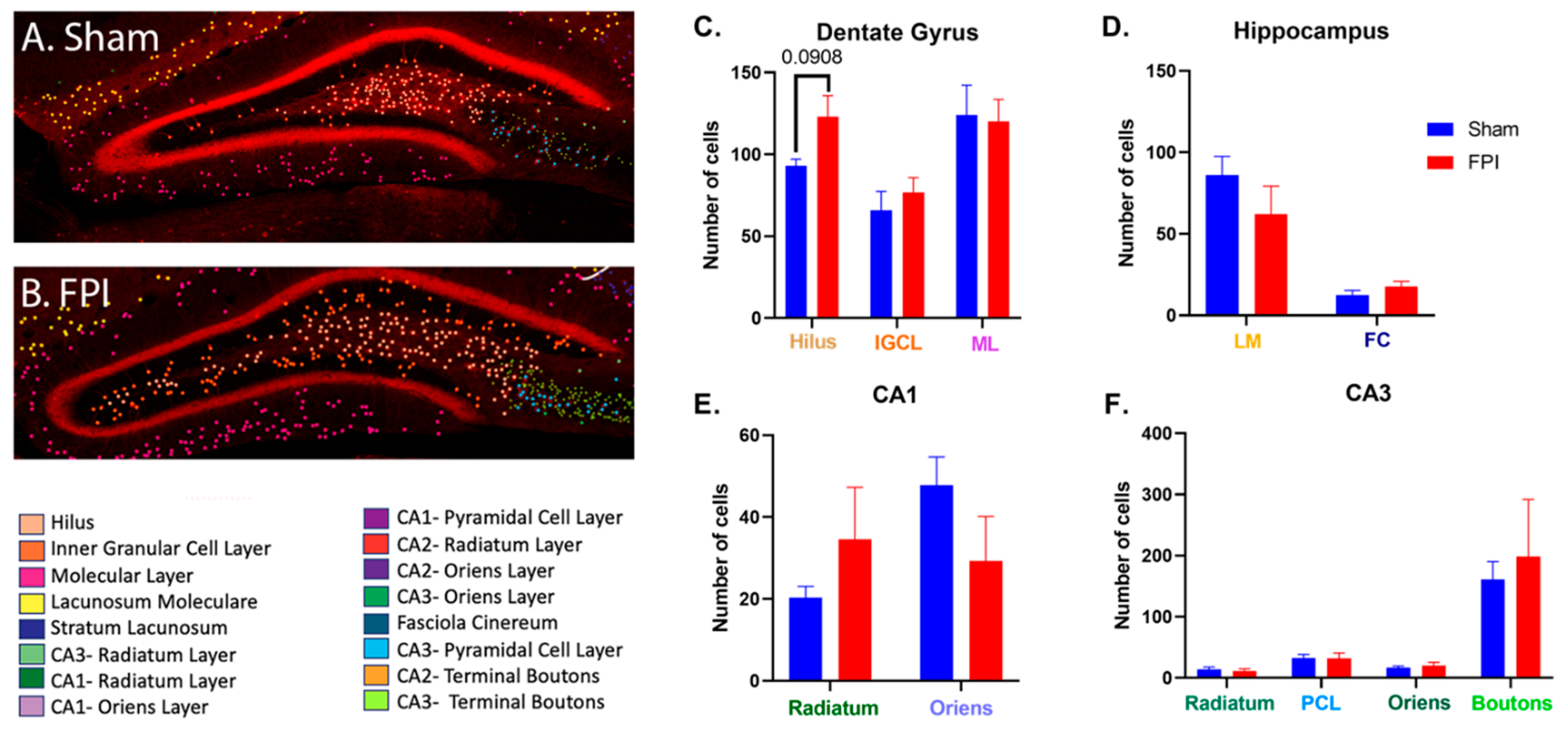 Ijms 24 16084 g004 Ijms 24 16084 g004