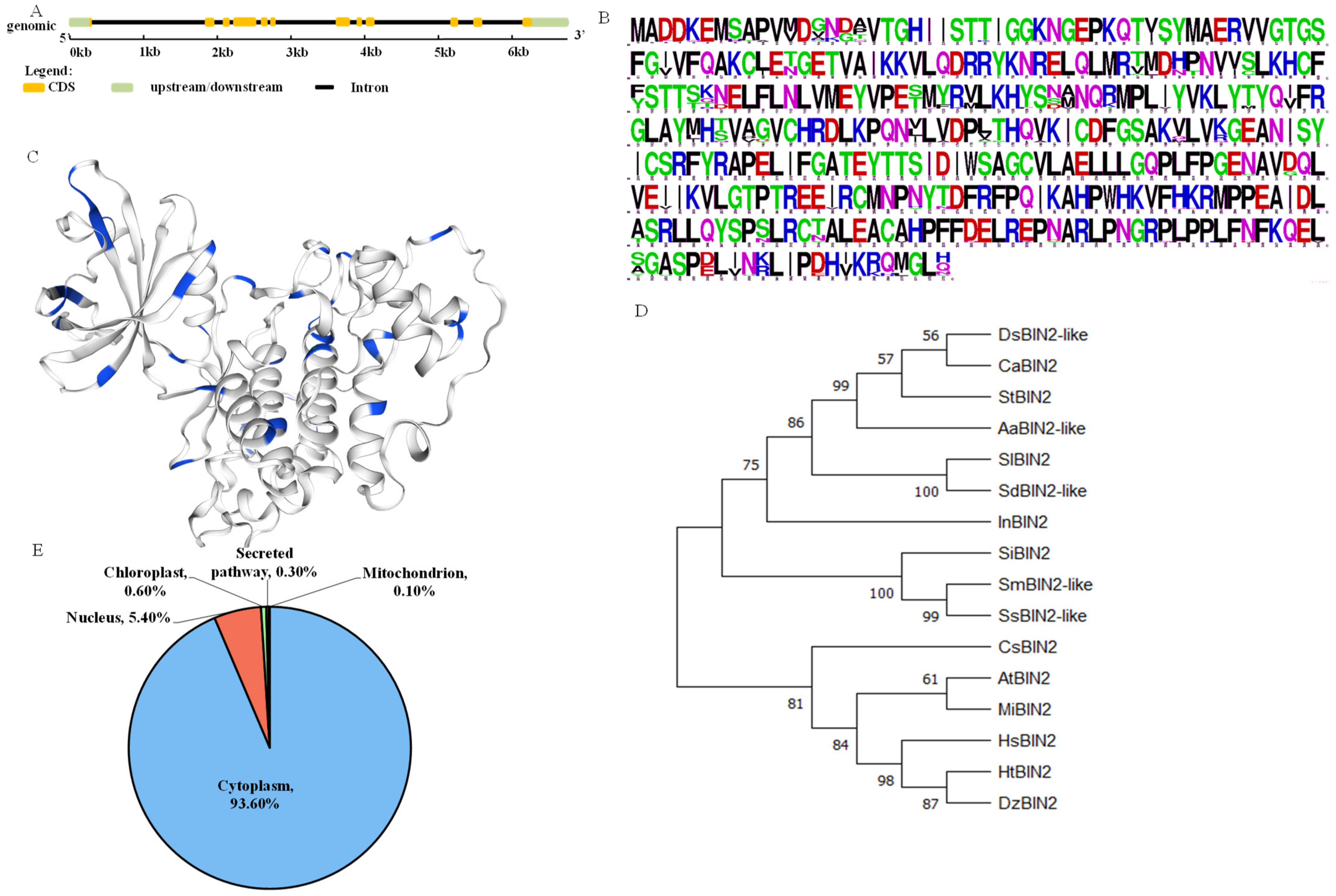Ijms 24 16087 g001 Ijms 24 16087 g001