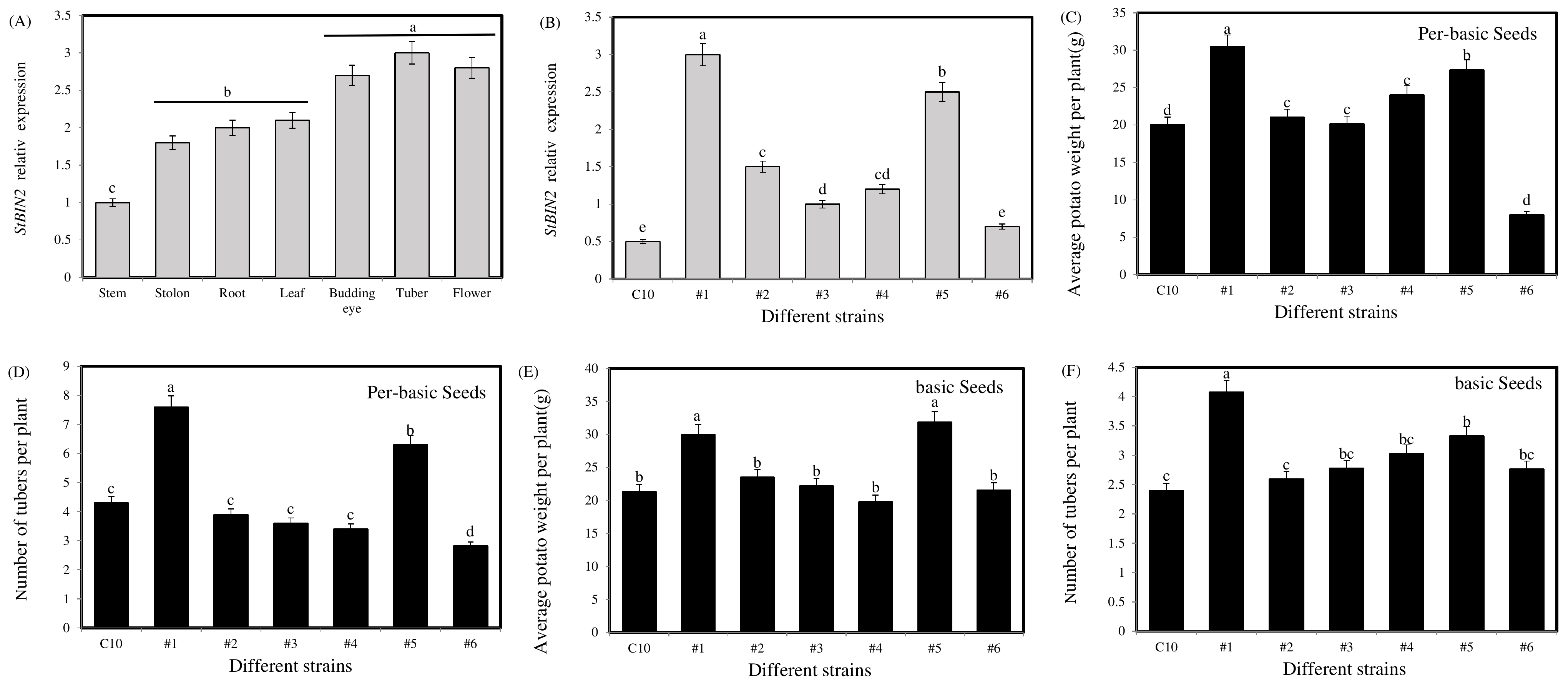 Ijms 24 16087 g002 Ijms 24 16087 g002